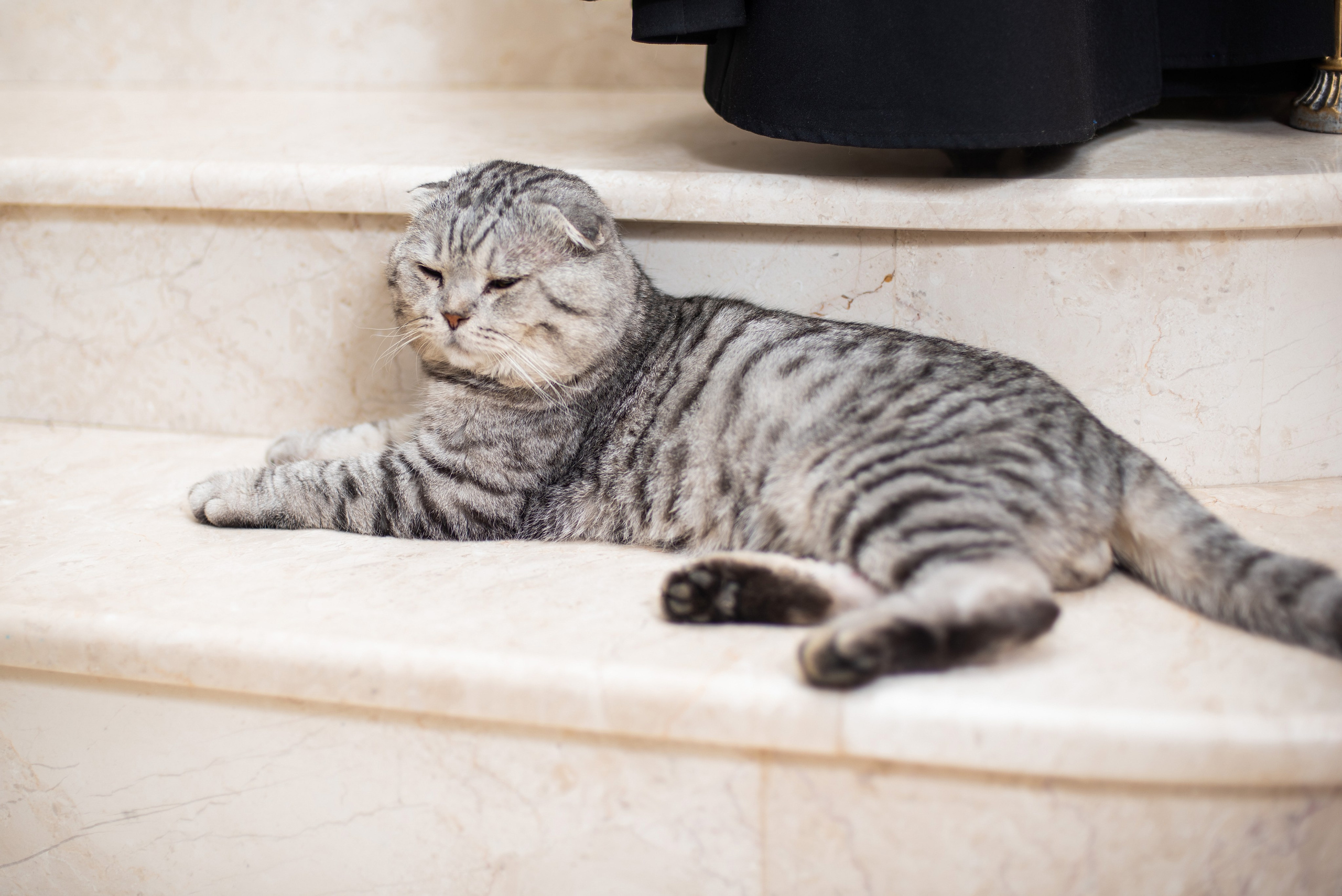 Дни Рождения. Фотограф Юлия Попова