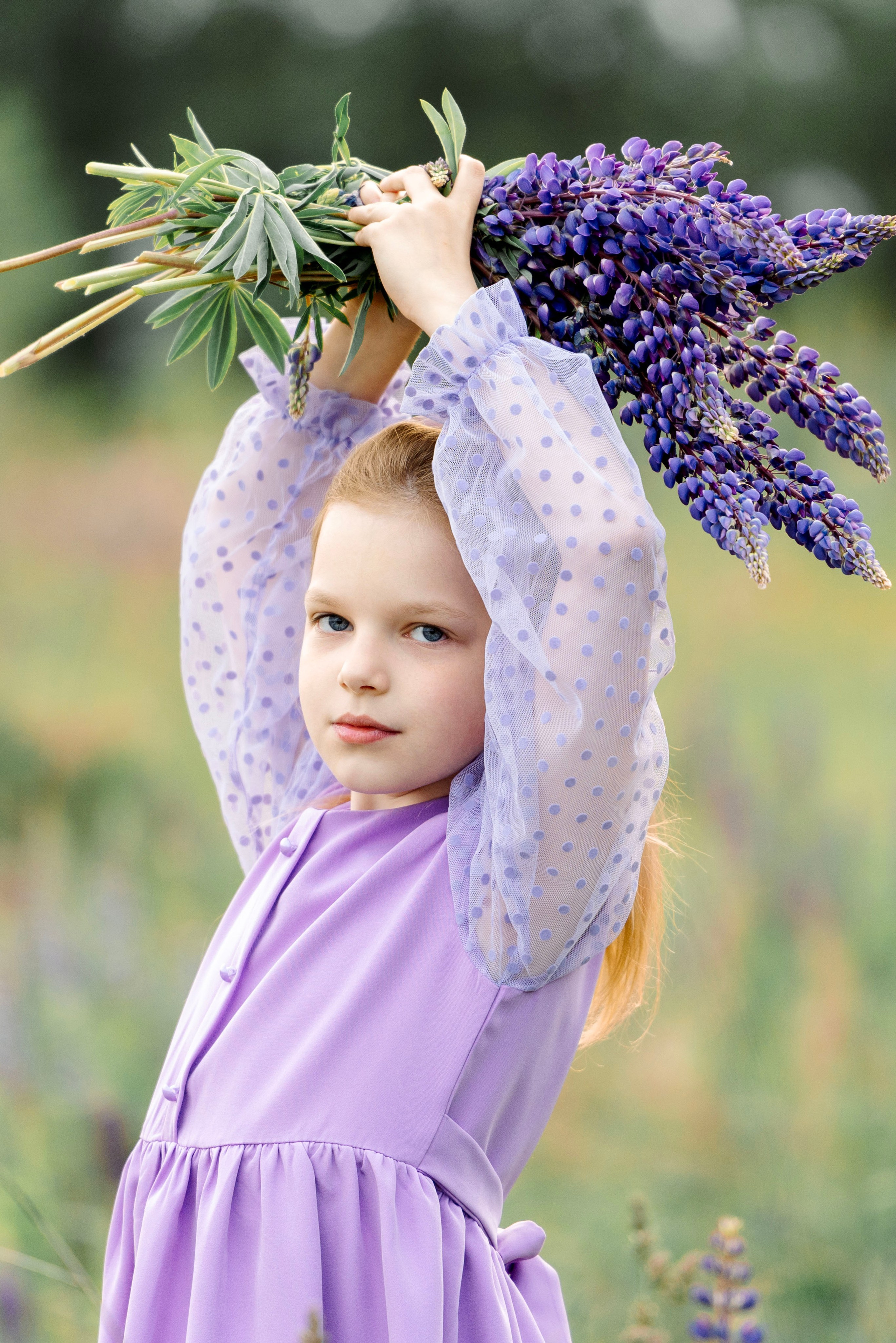 Люпины. Фотограф Юлия Попова