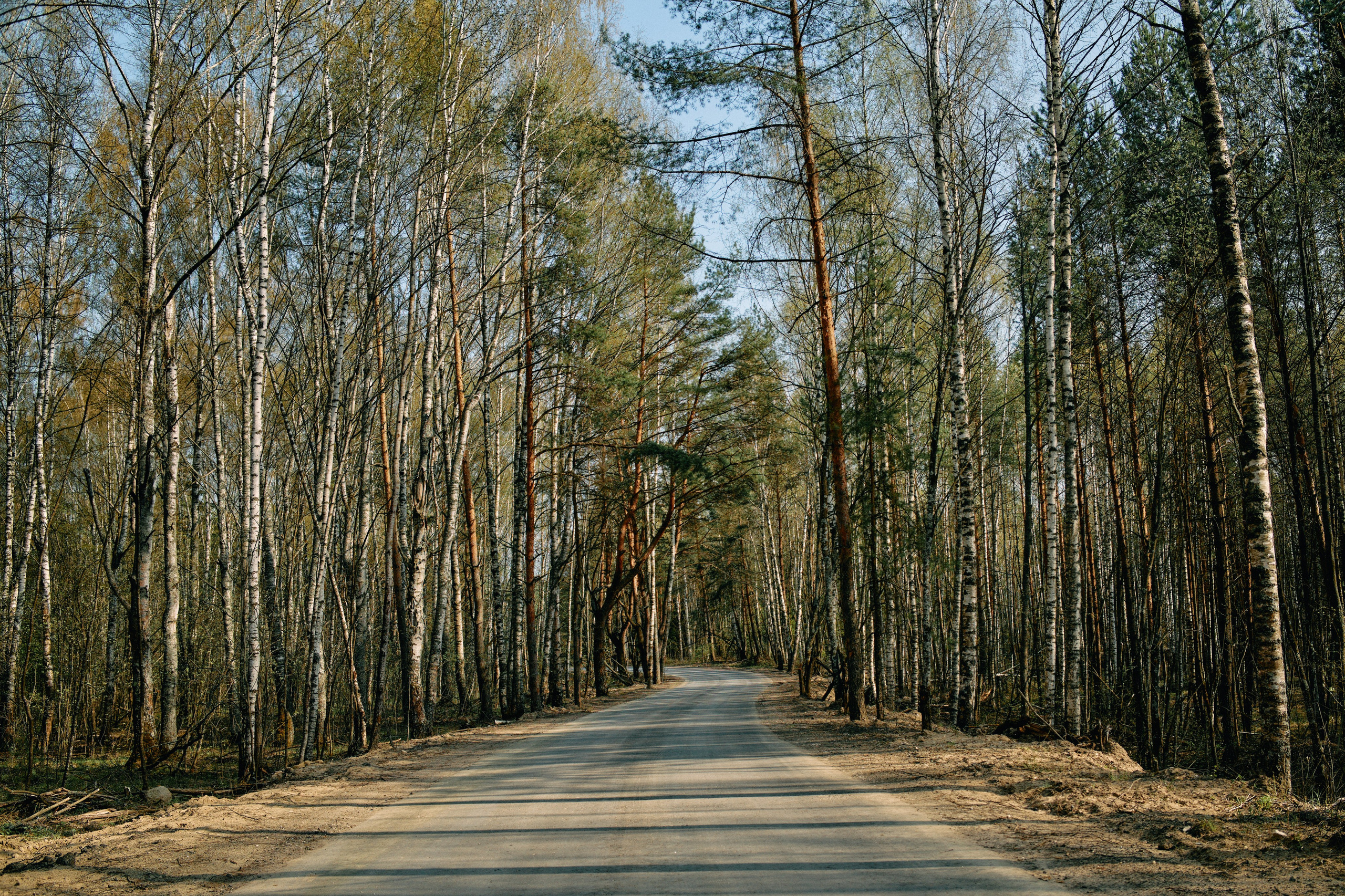Бутик-отель Поле летом. Профессиональный Фотограф во Владимире, в Москве и в Суздале — Полина Романычева