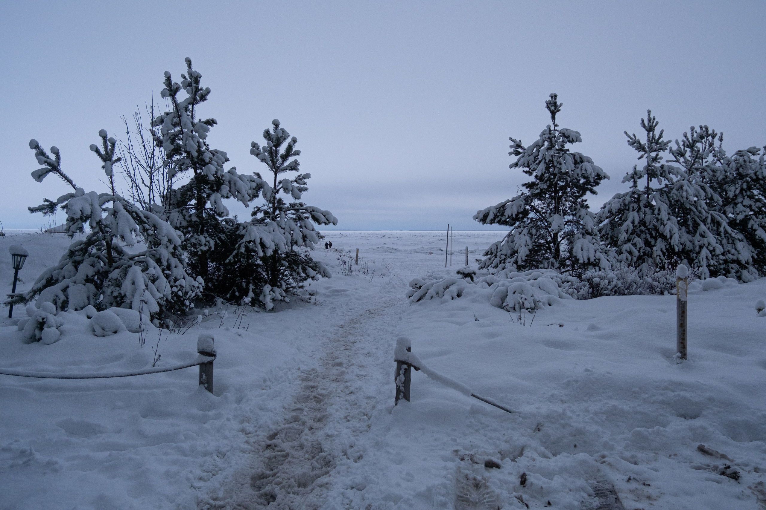 Комарово. Портретный и архитектурный фотограф в Москве и Санкт-Петербурге