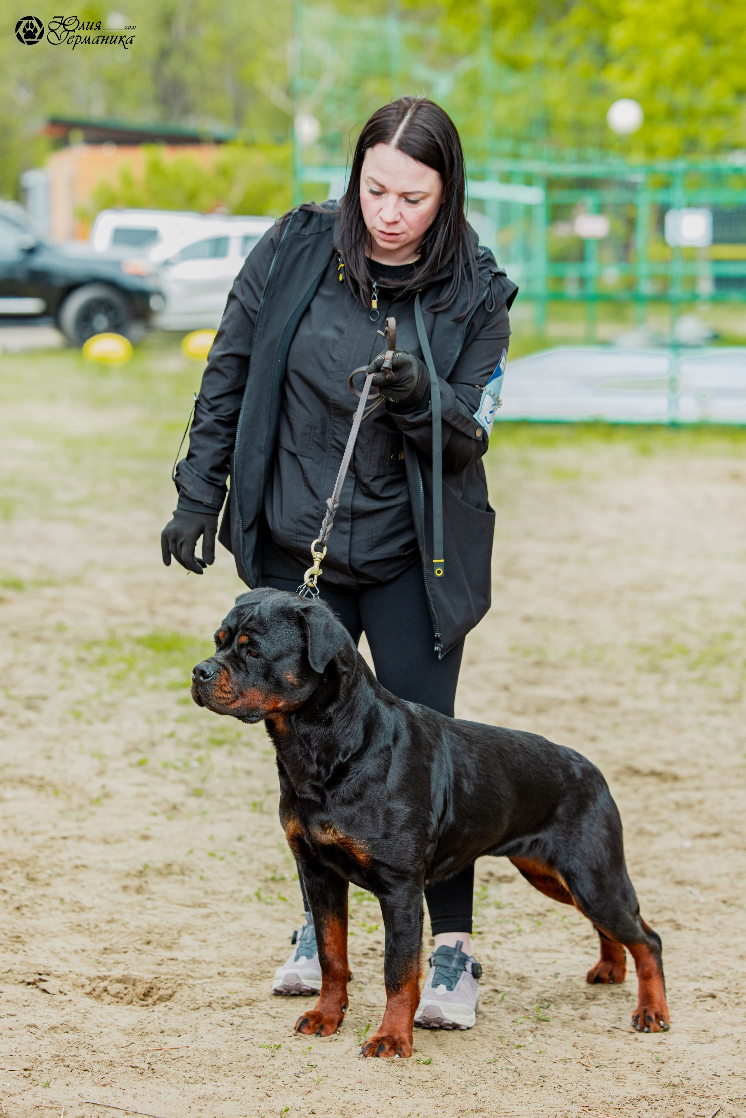 Саратов моно ротвейлеров 26-27.04.2025. Фотограф-анималист Юлия Германика