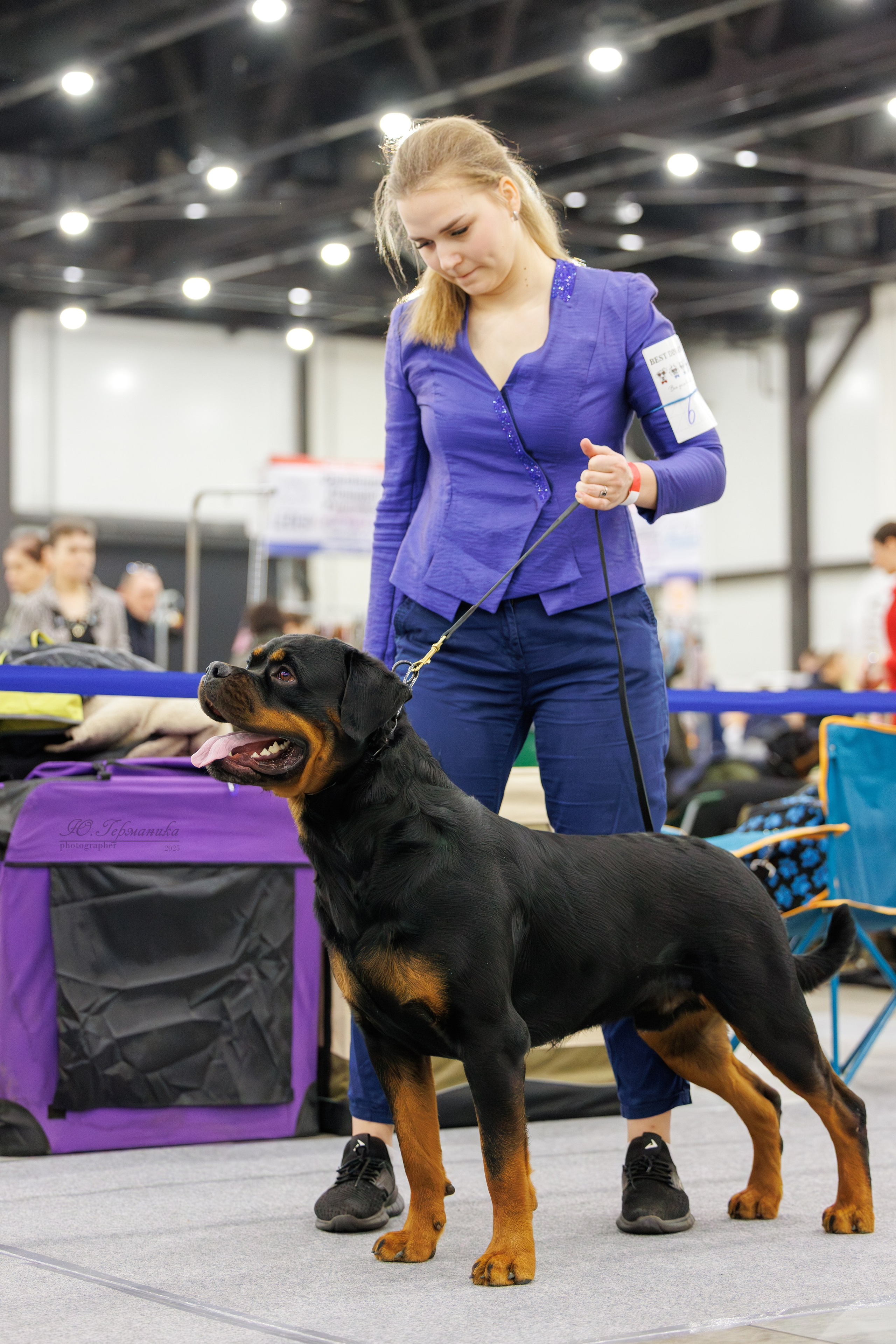 Питер 12-13.12.2025. Фотограф-анималист Юлия Германика