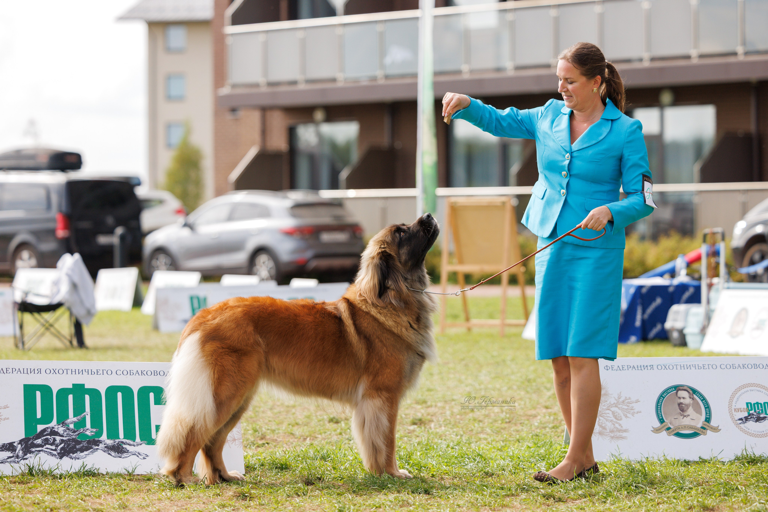 Переславль 5-7.08.2025. Фотограф-анималист Юлия Германика