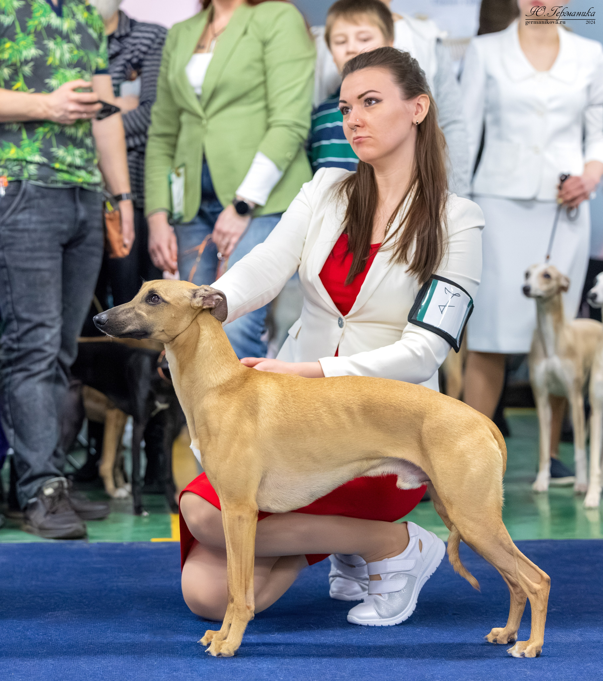 Сфера 17.03.2024. Фотограф-анималист Юлия Германика