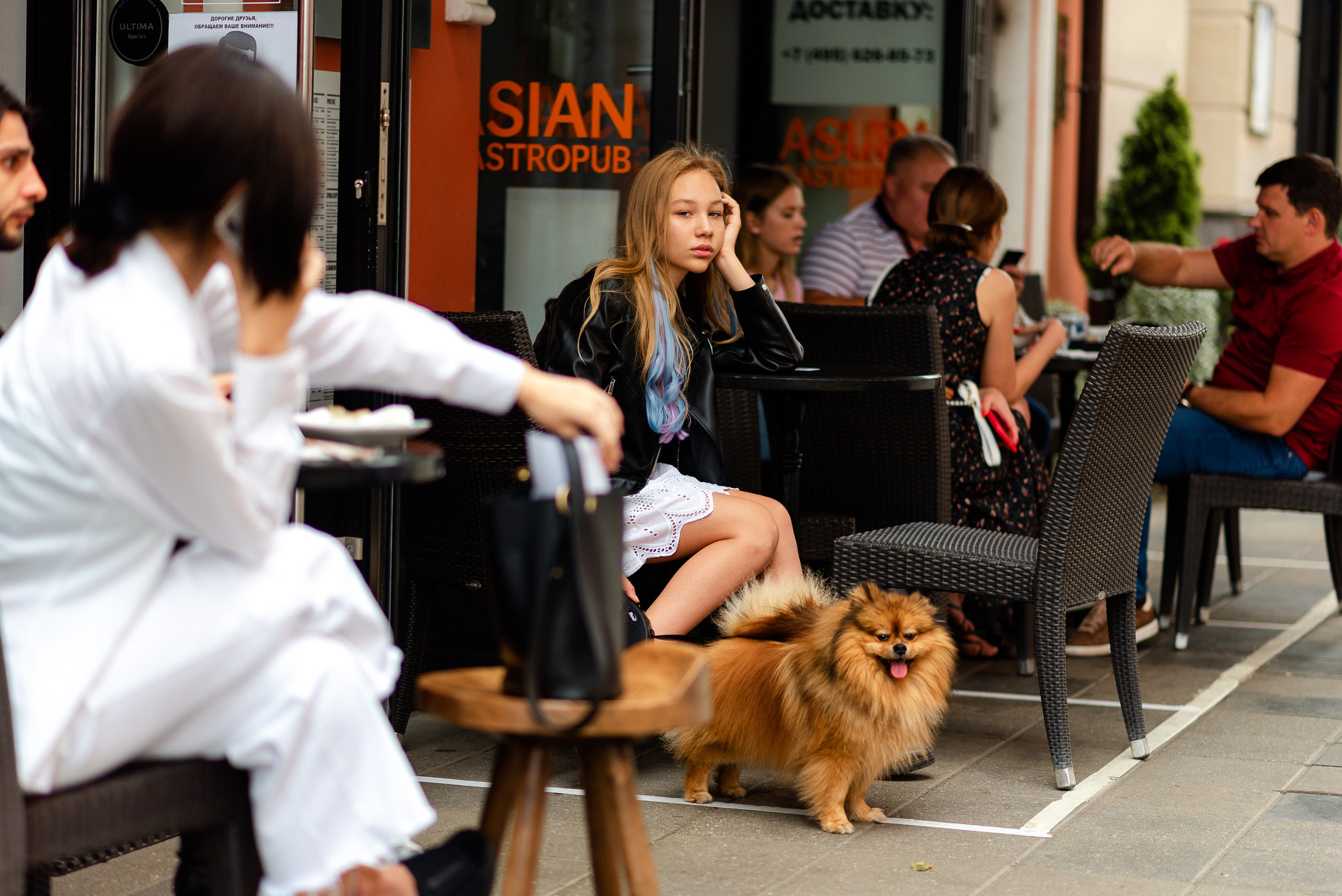 Патриаршие пруды, фотосессия со шпицем Гарри. Semerlina.ru