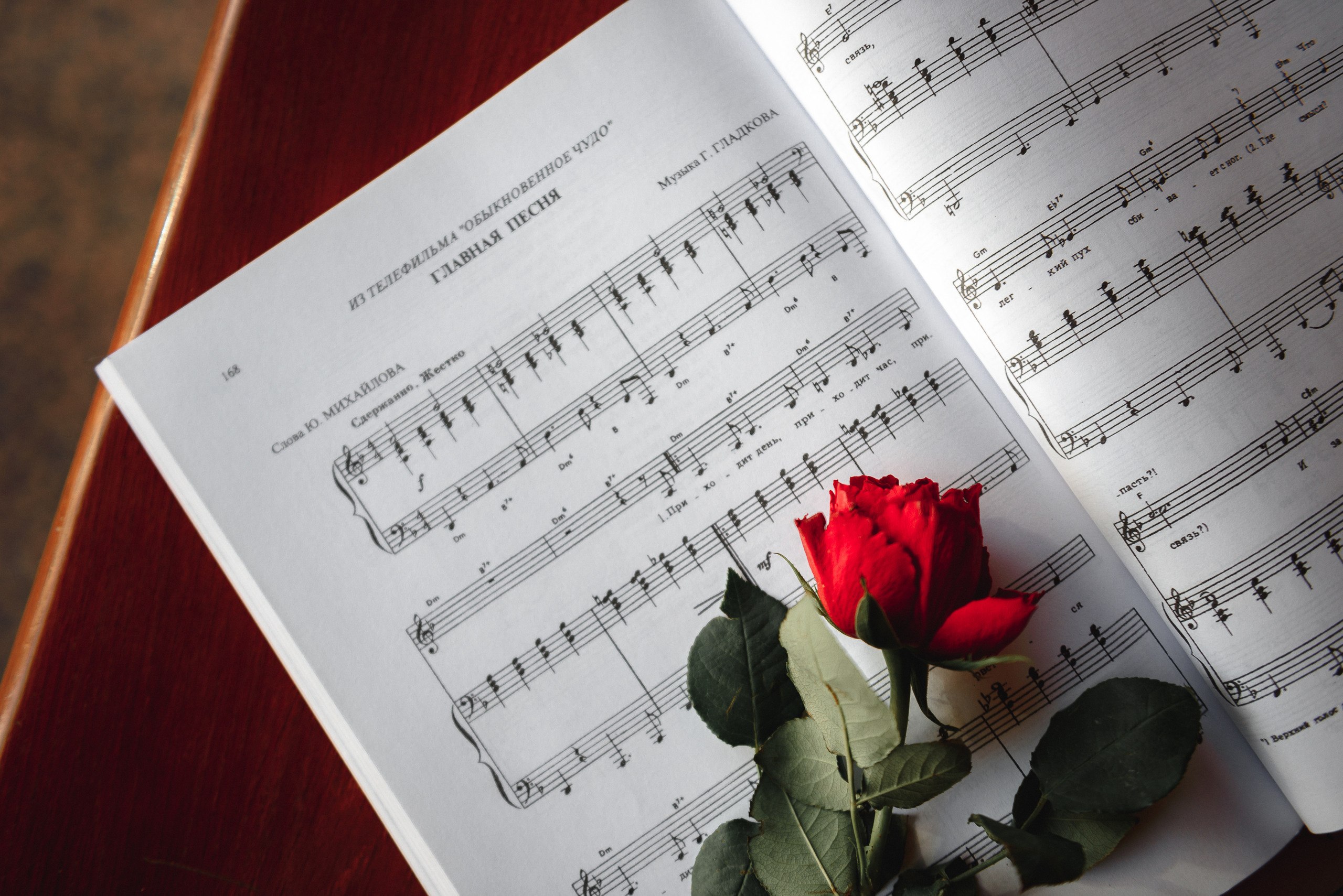 Экспресс-фотосессия для контента певицы. Semerlina.ru