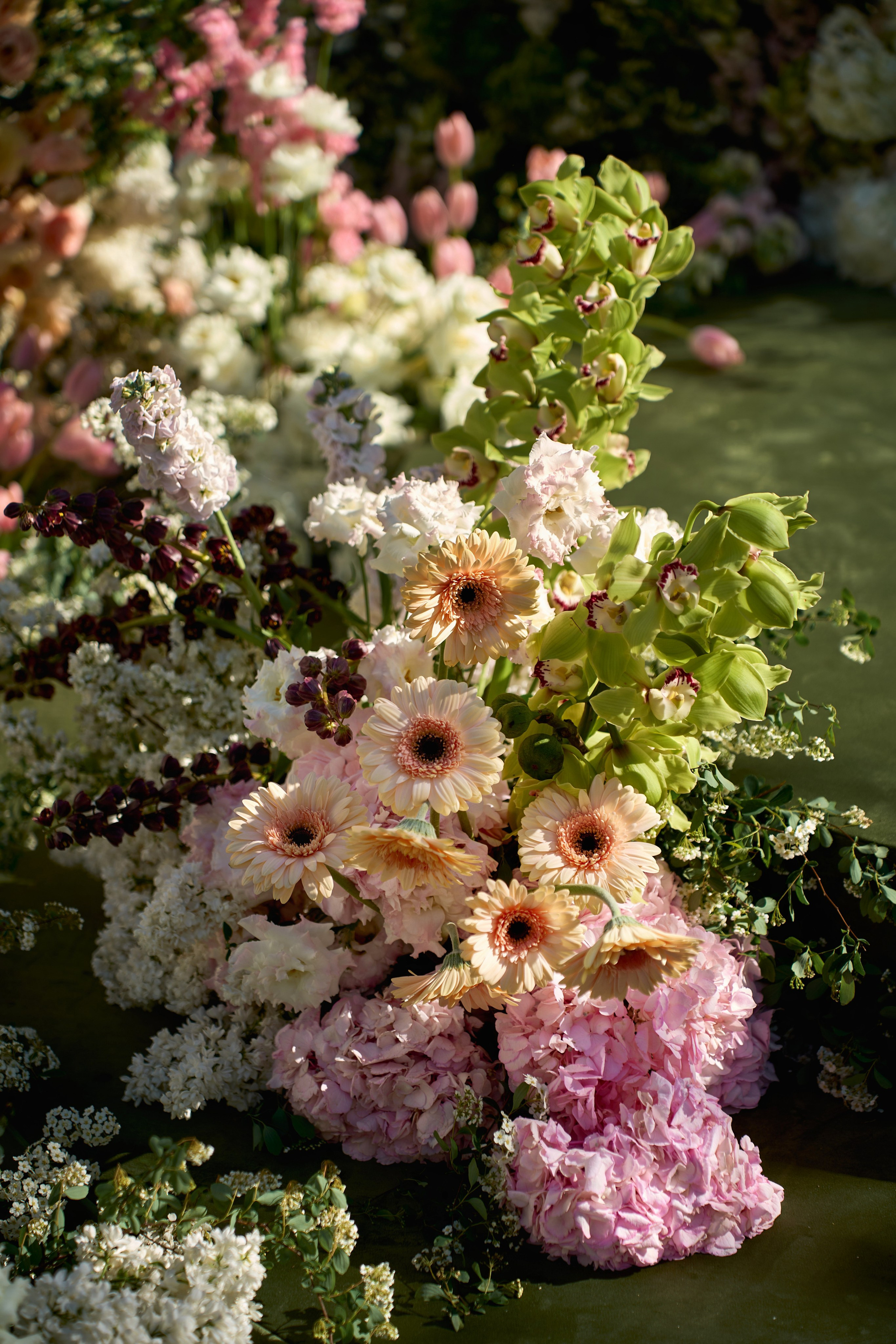 Лучшие свадебные фотографы Краснодара ТВИНС СТУДИО в Zagarro на Армянской свадьбе!. ТВИНС СТУДИО — лучшие свадебные фотографы и видеографы в Краснодаре