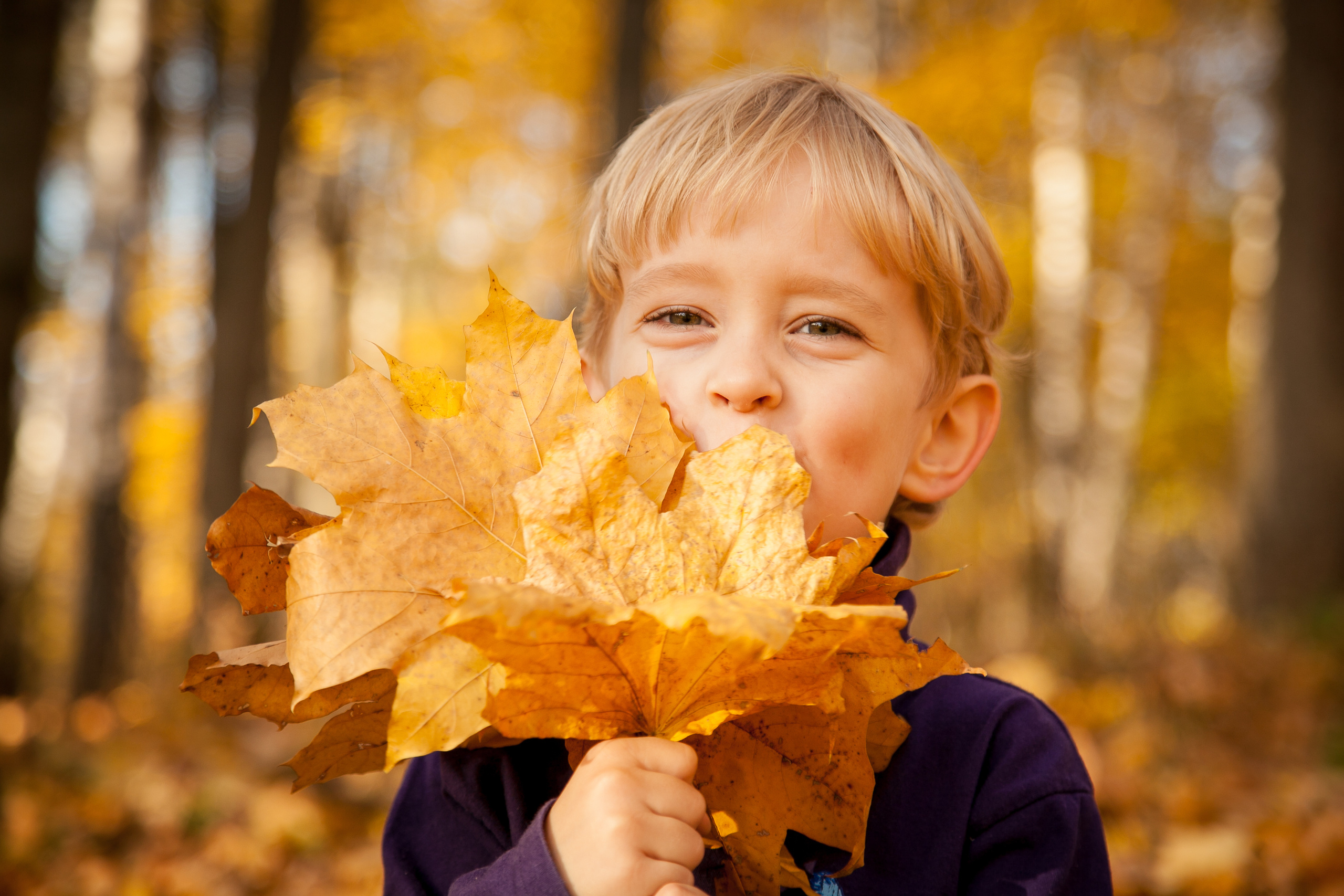 Детская и семейная фотосъемка. Фотограф и видеограф на любое Ваше мероприятие