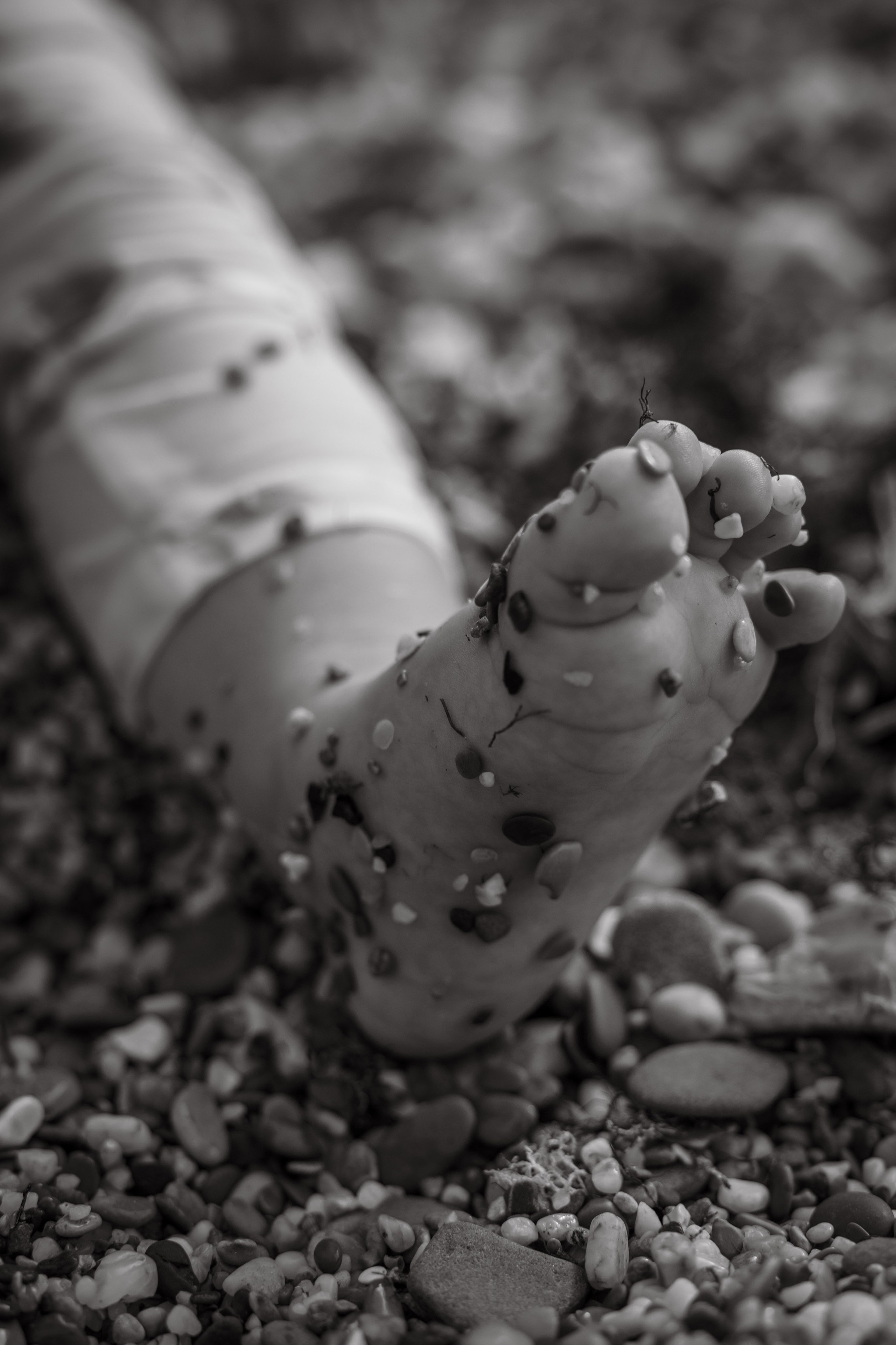 Анонс Никита Аня и София. Фотограф и Видеограф Севастополь Крым