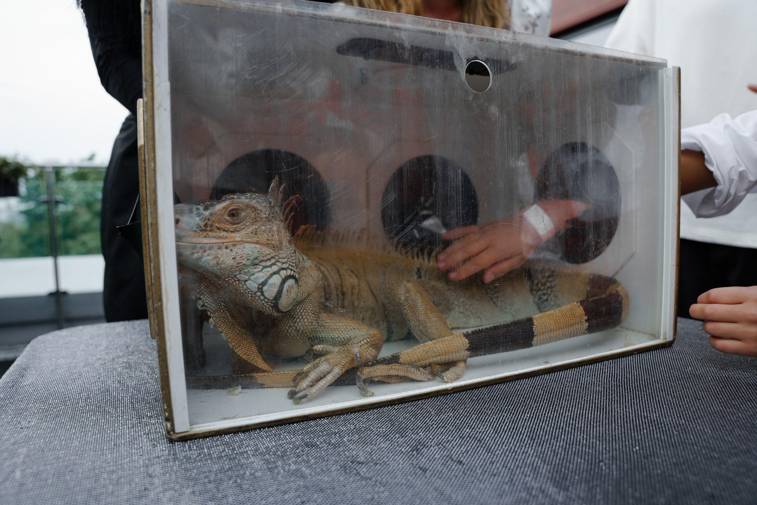 Гендер пати в славянском стиле. Репортажный фотограф в Москве Саша Дружинина