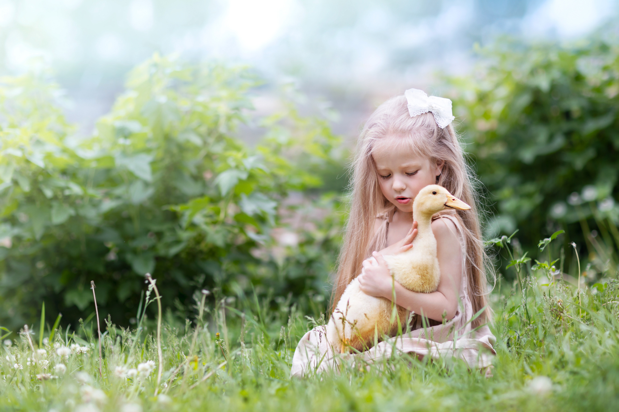 Животные. Семейный и детский фотограф во Владивостоке Ольга Потылицына