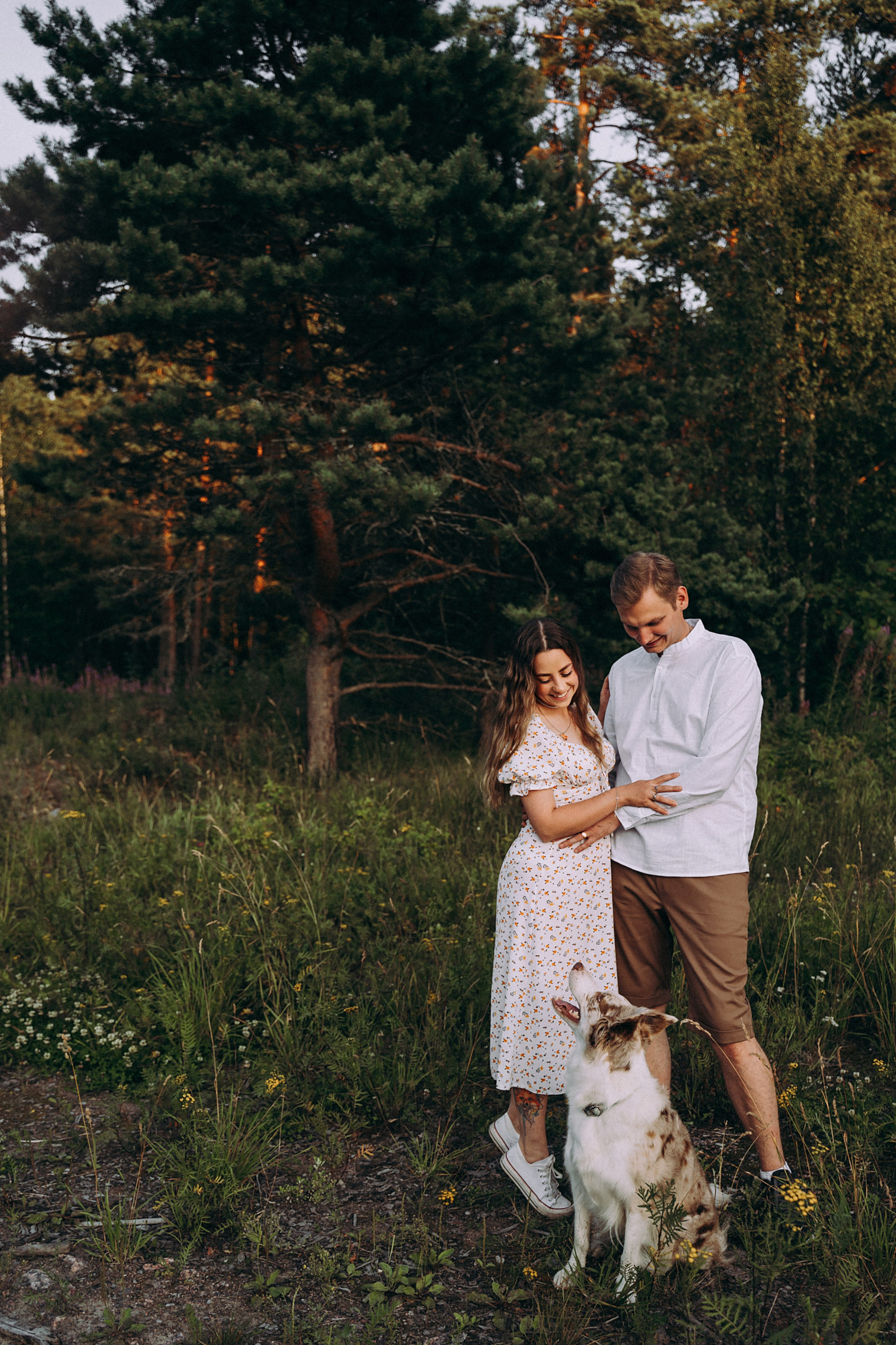 Хвостики. Главная