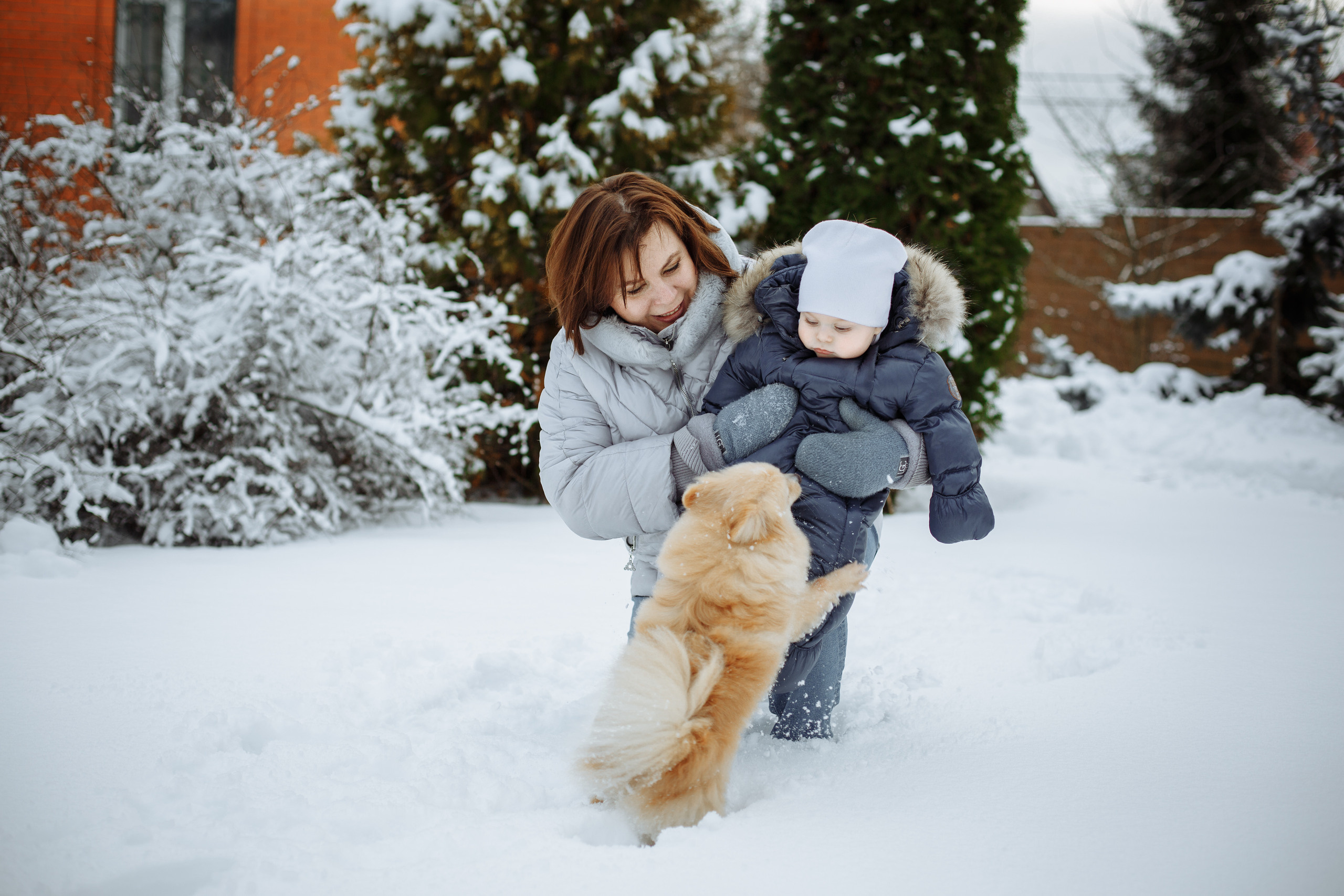 Домашняя новогодняя фотосессия