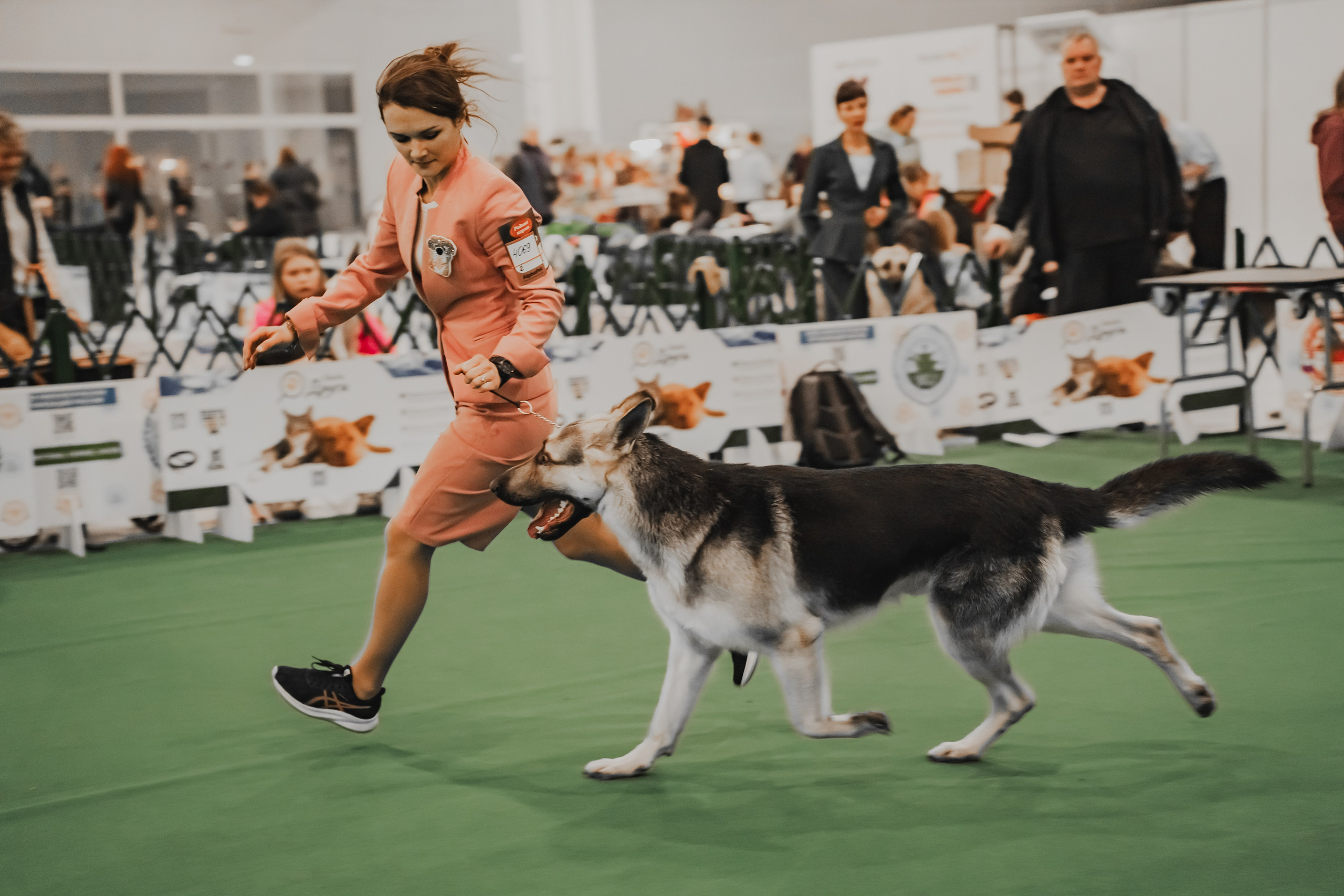 Международная выставка собак всех пород. Репортажный фотограф Анастасия Рубцова