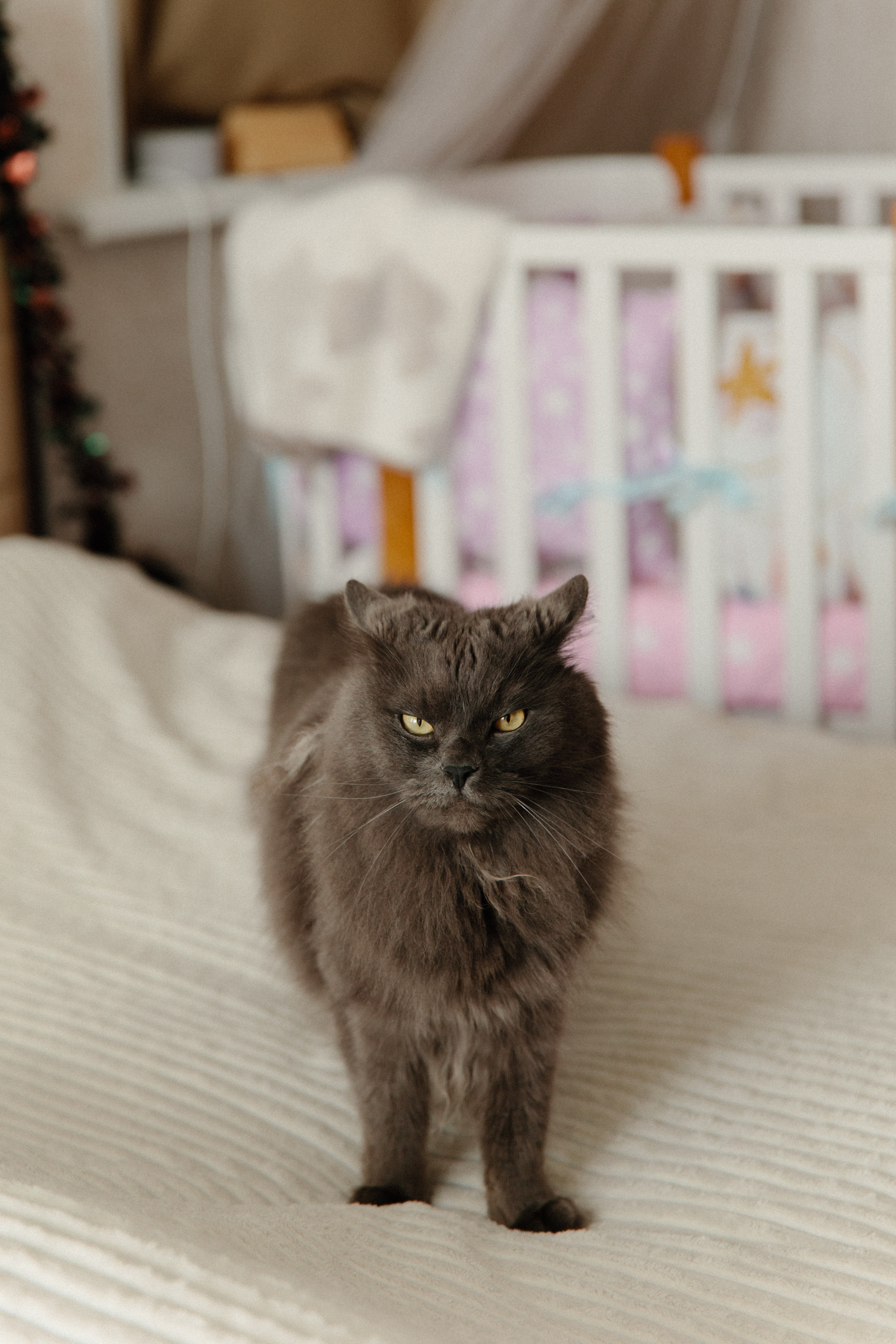 Кира. Фотограф Влада Лаптева Владивосток, Приморский край