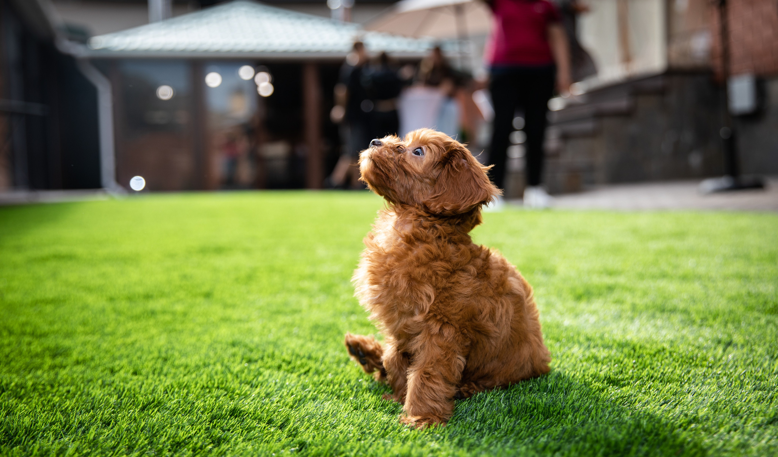 День Рождения Егорки -2025. VoronEvent. Репортажный и свадебный фотограф в Челябинске Елисеев Павел
