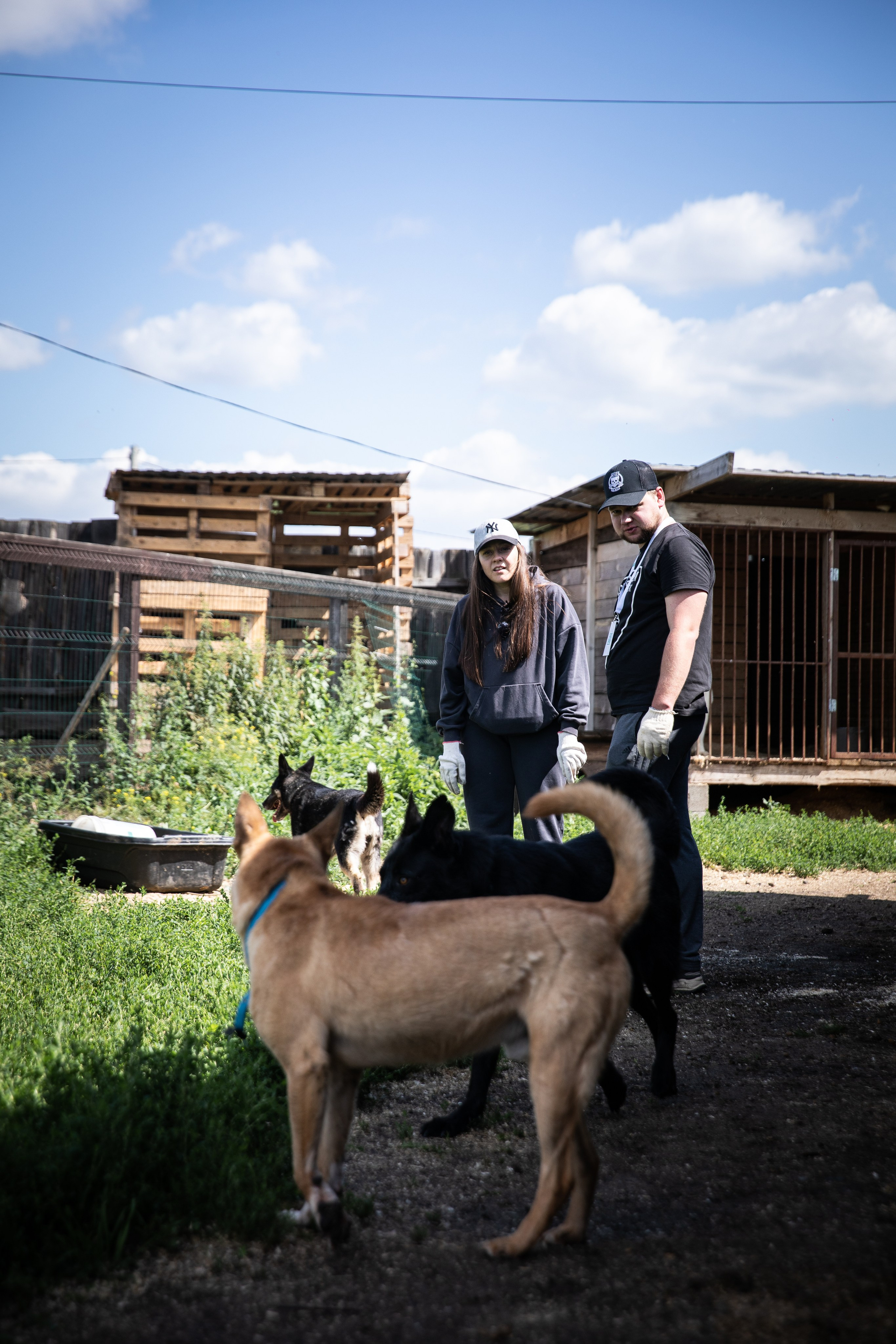 Приют — Наш дом. Репортажный и свадебный фотограф в Челябинске Елисеев Павел