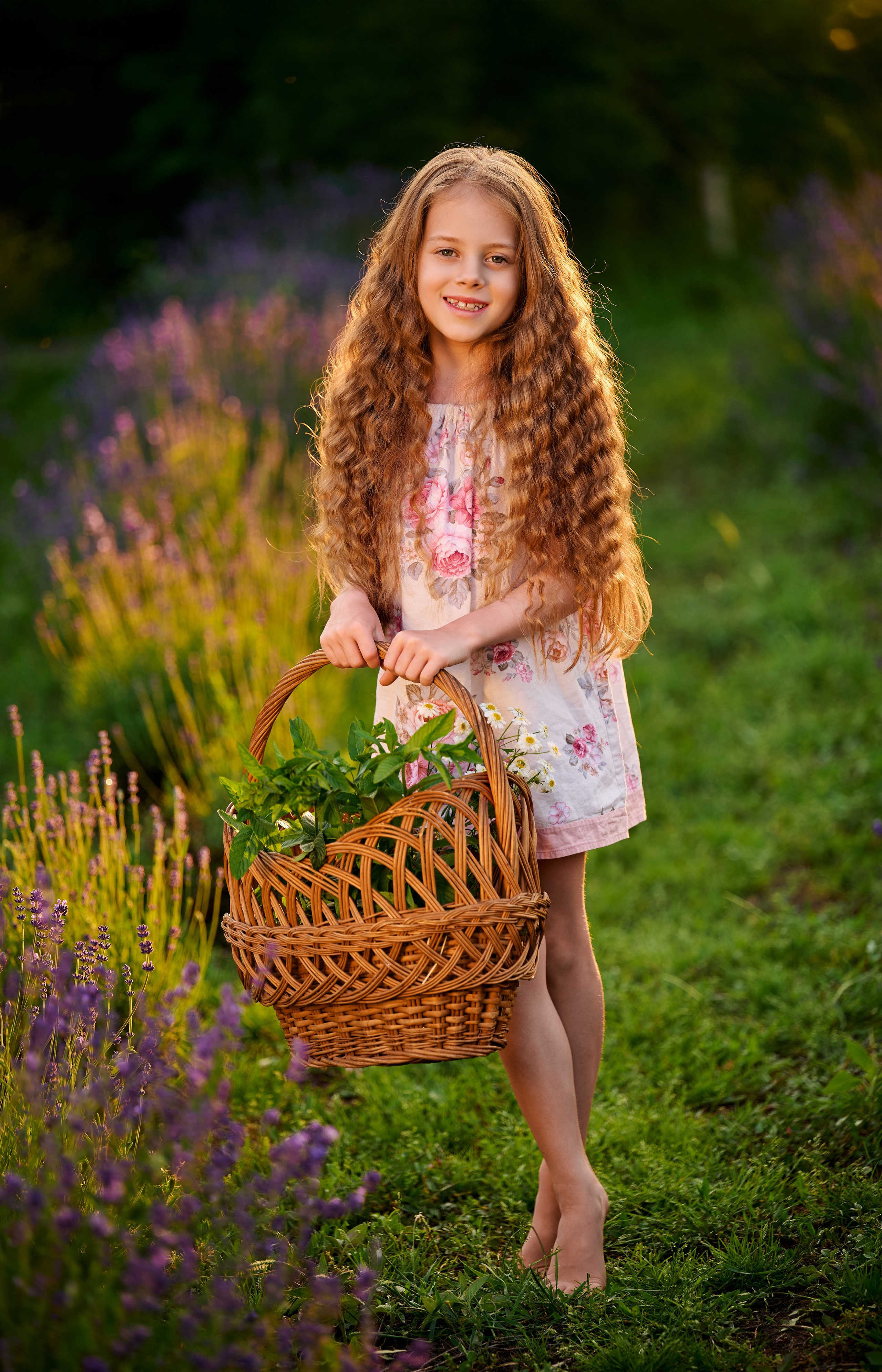 Лаванда на закате. Свадебный, семейный фотограф в Краснодаре