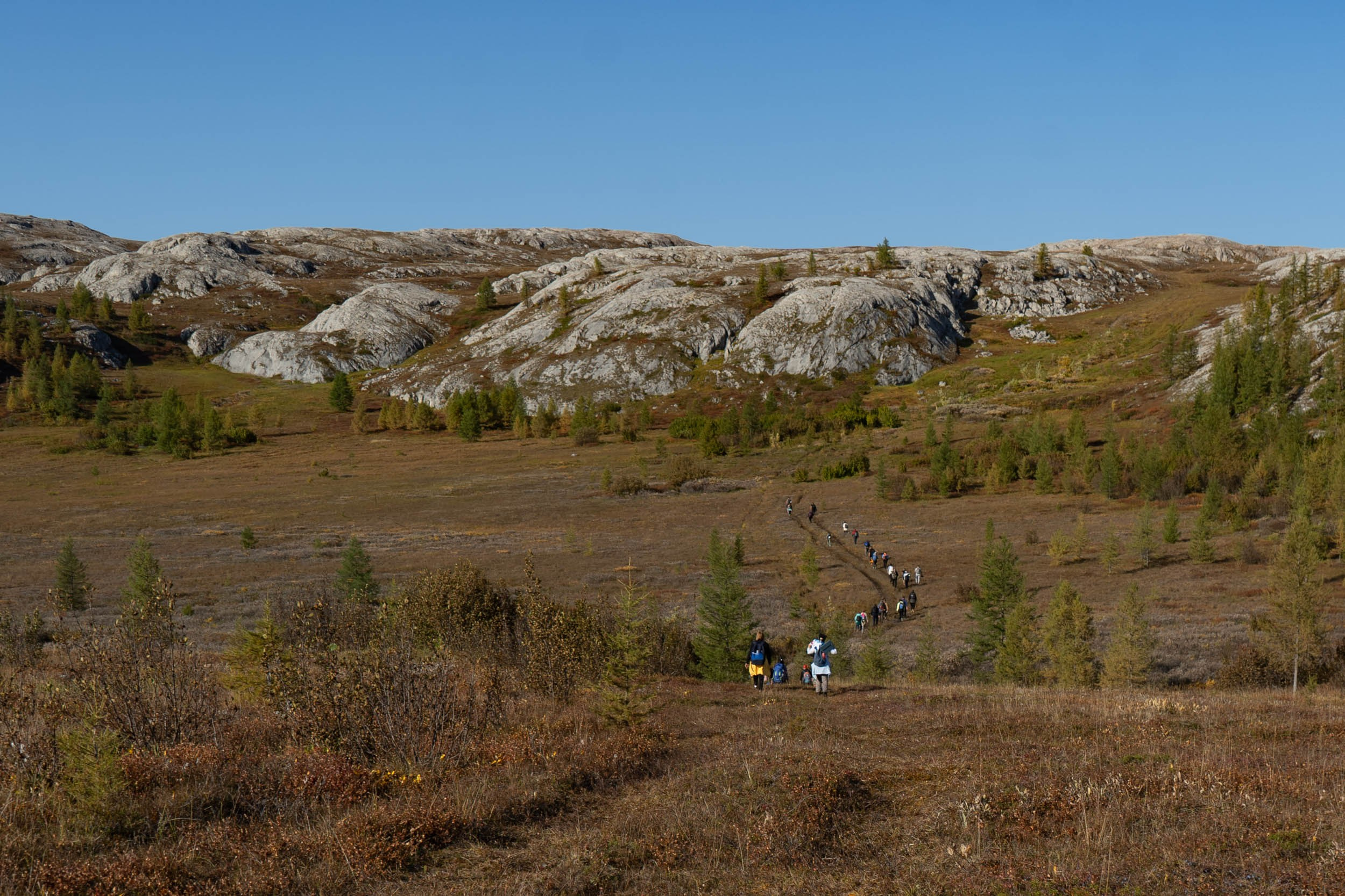 Рифы девонского моря. Фотограф Екатерина Зорина