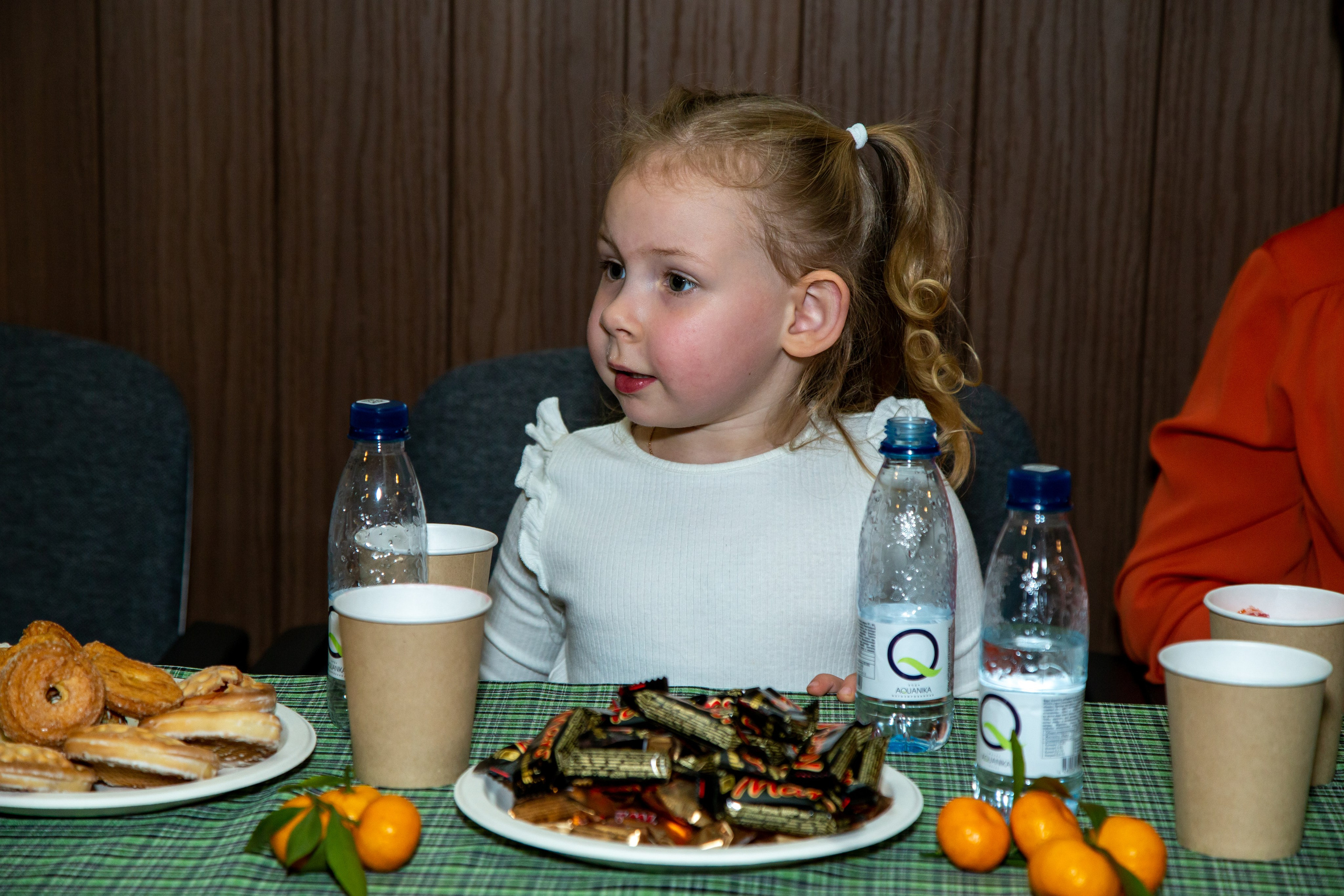 Репортажная съёмка для Домисольки на новый год. «Студия DRONAVT`s» — видеосъёмка и фотография г. Москва