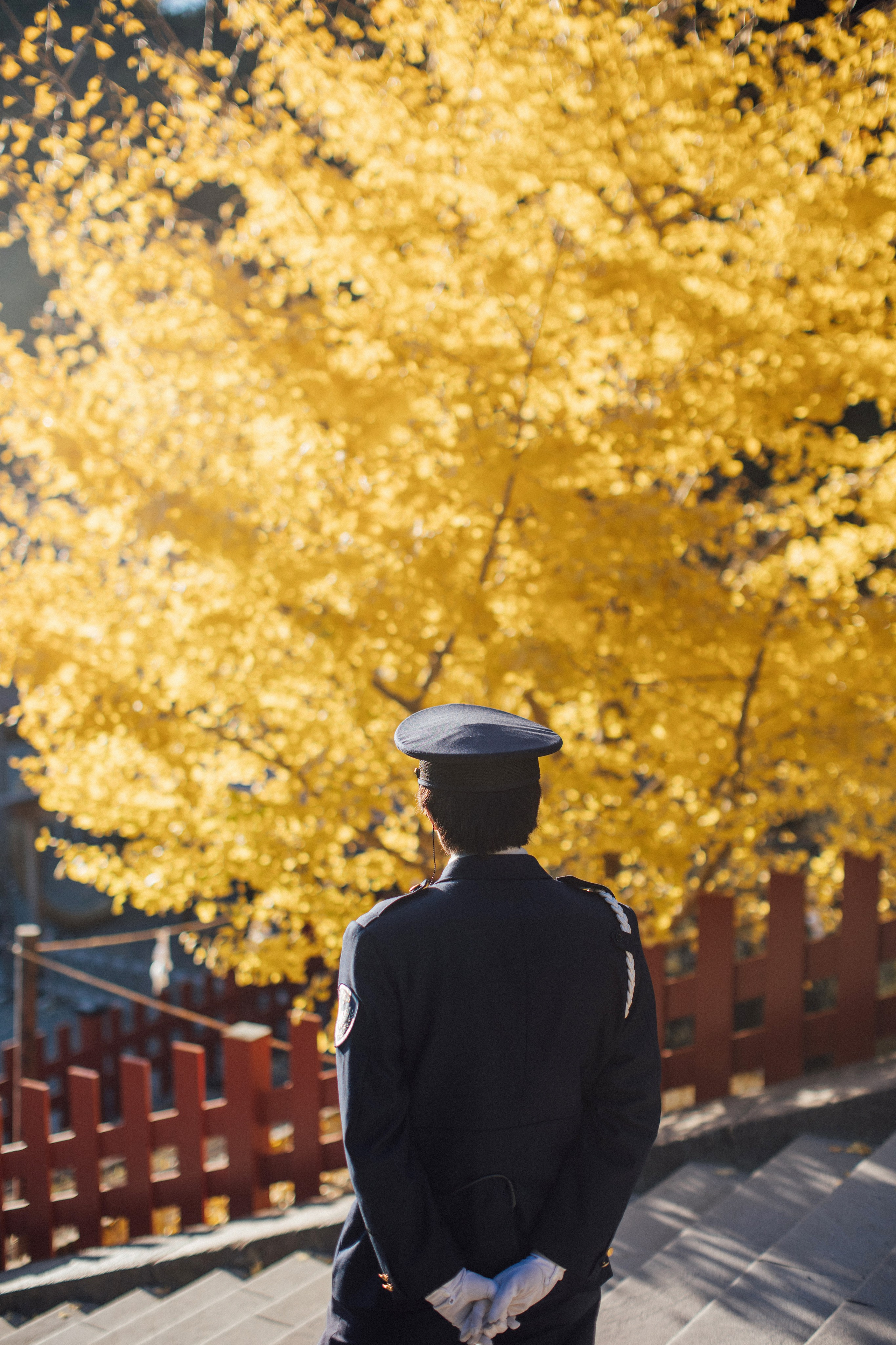 Япония. Главная