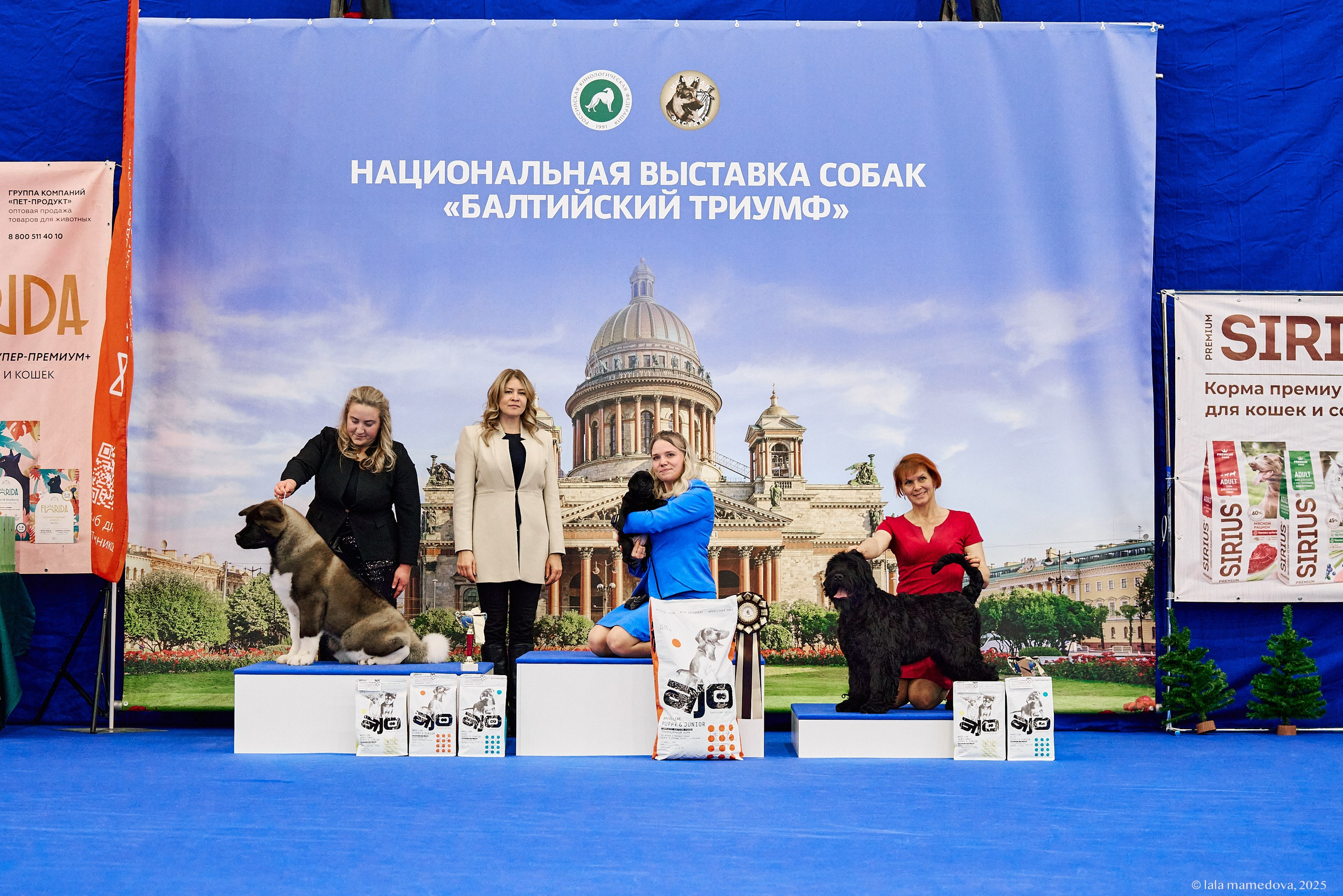 22-23 FEB 2025 | NATIONAL DOG SHOW «BALTIC TRIUMPH-2025»