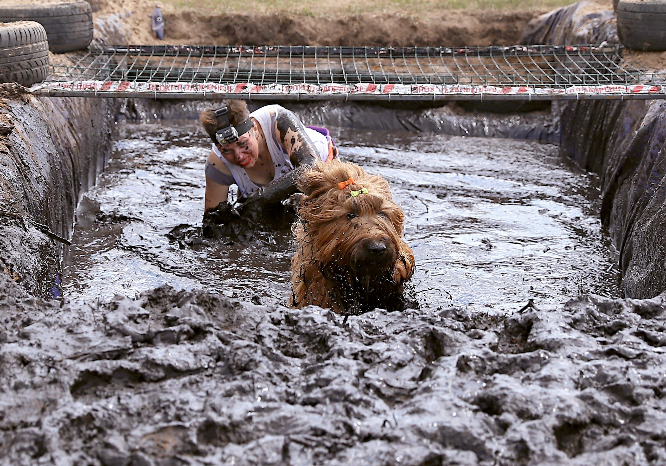 Хвостатый драйв. Семейный и детский фотограф в Москве и МО Елена Москвичева