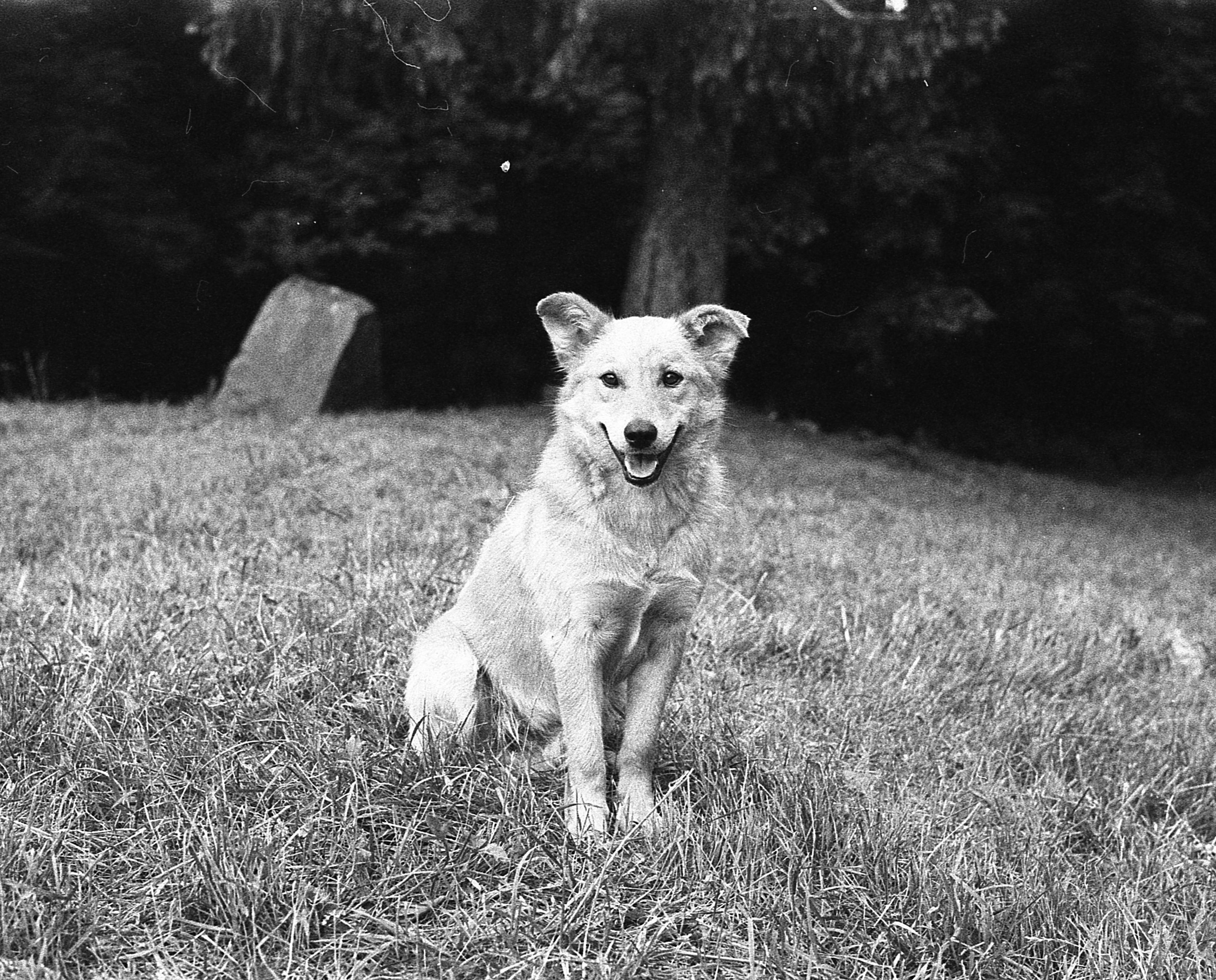 B/w film. Спортивный фотограф Александр Бармин