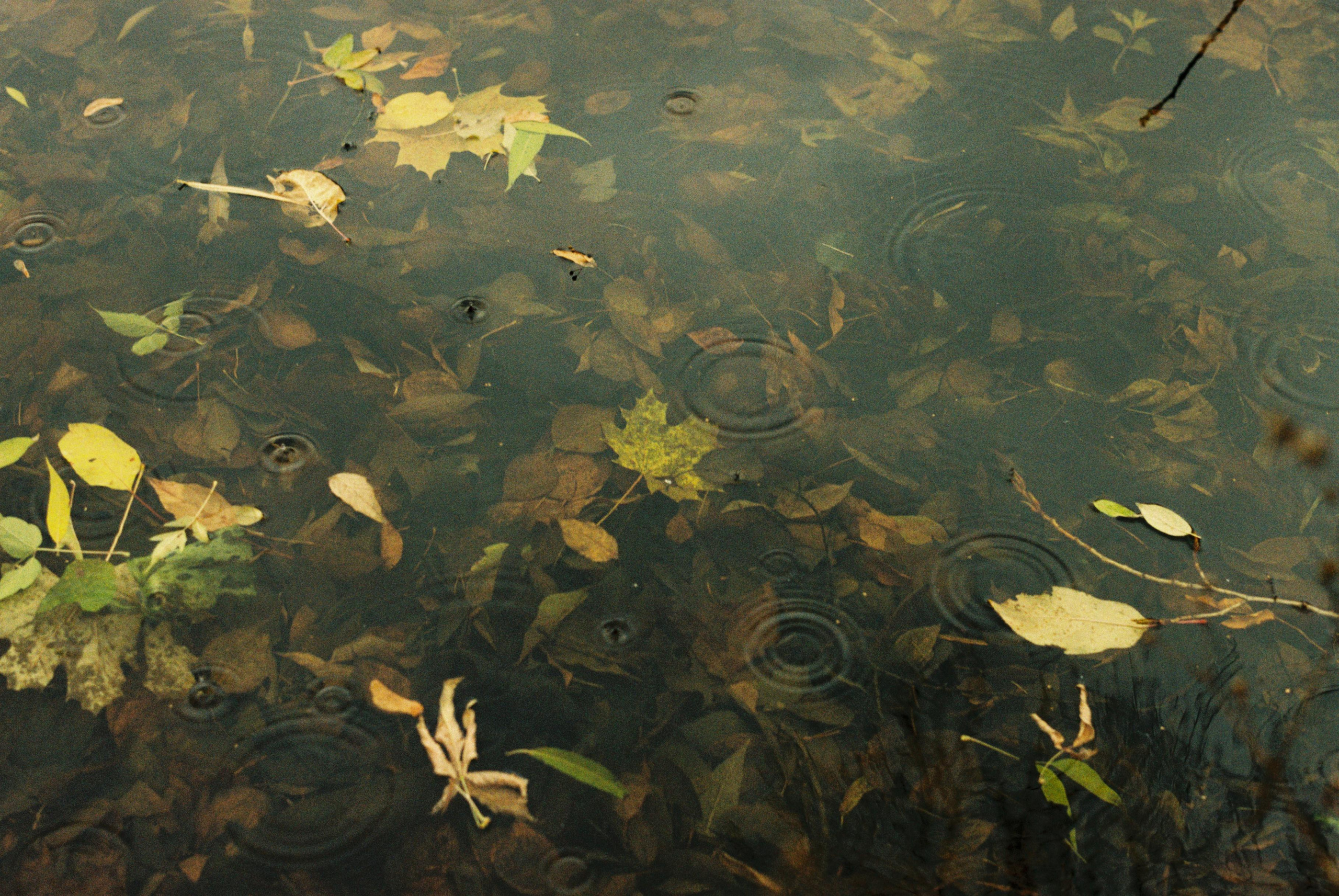 Color film. Спортивный фотограф Александр Бармин