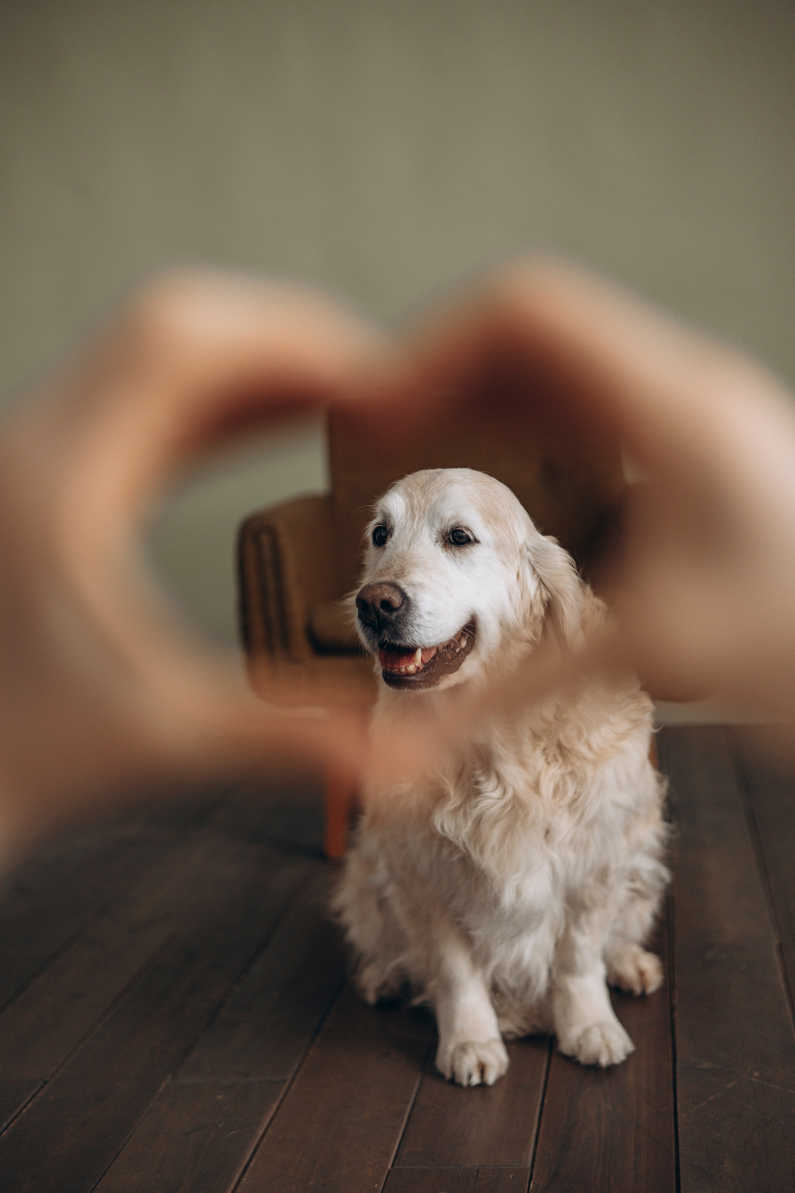 Ирина и Луна. Фотограф — Анималист | Санкт-Петербург