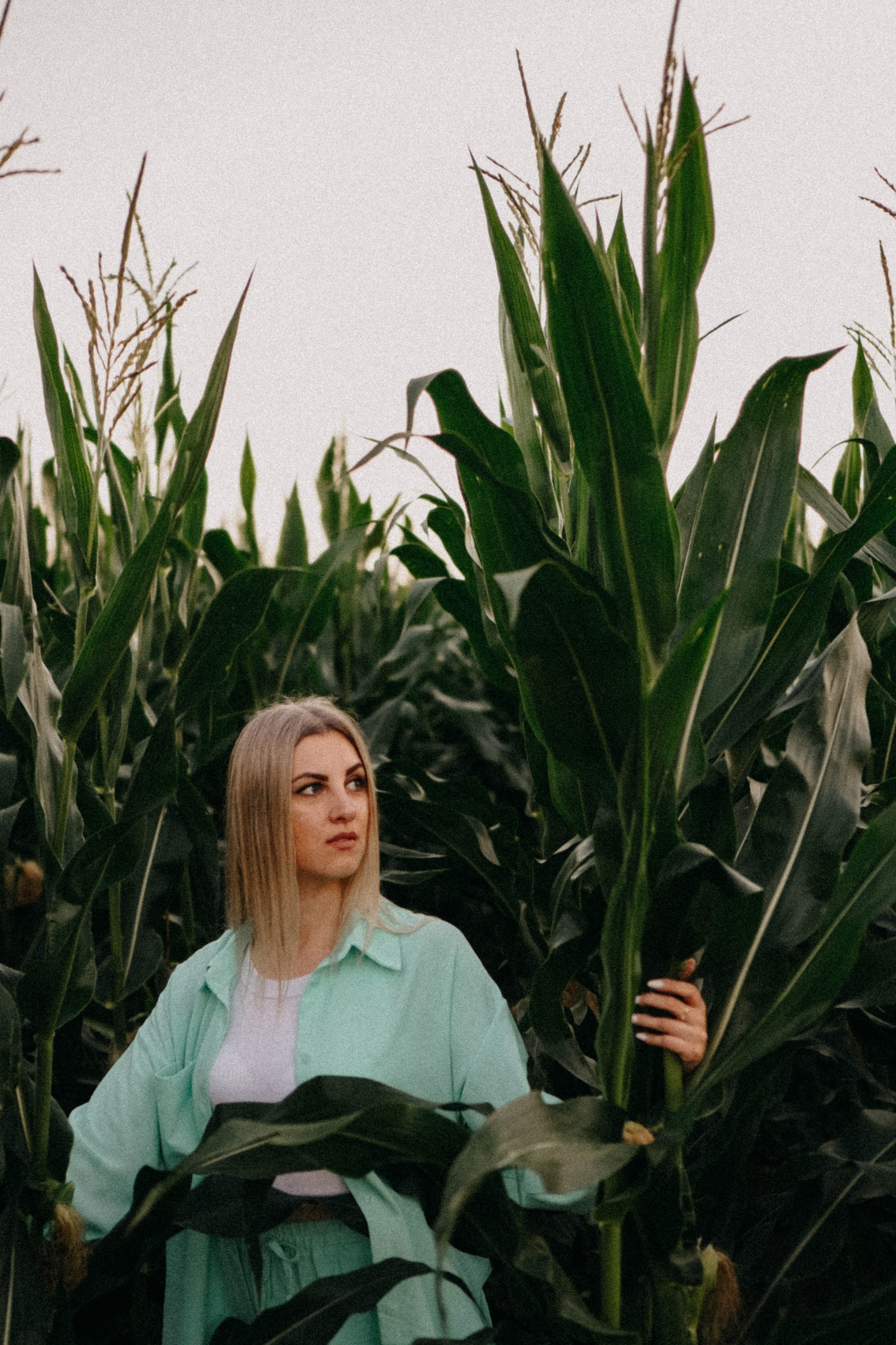 Летний вечер. Профессиональный фотограф, Санкт-Петербург — Виктория Богомолова