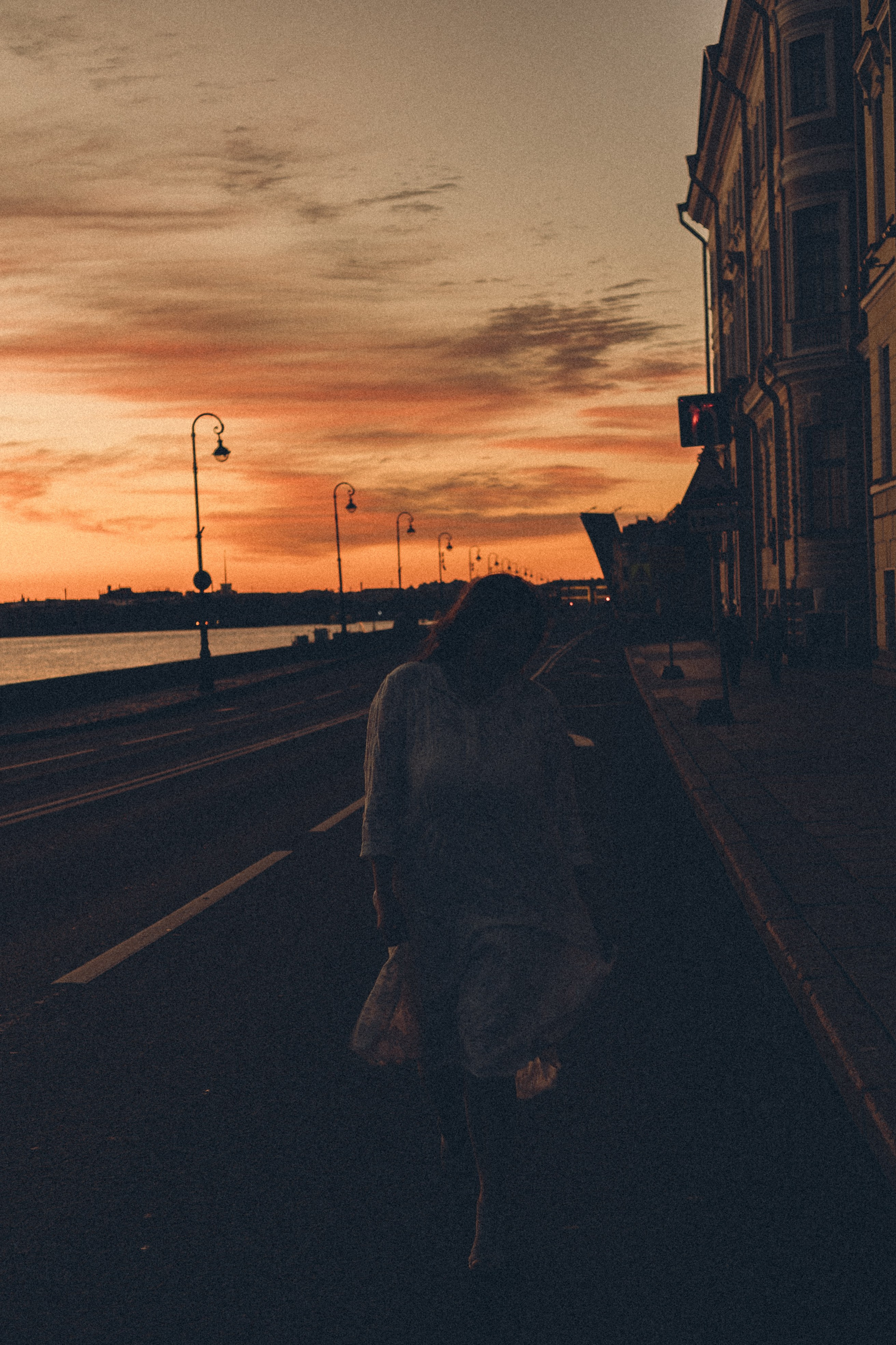 РАССВЕТ С РАЗВОДНЫМИ МОСТАМИ. Профессиональный фотограф, Санкт-Петербург — Виктория Богомолова