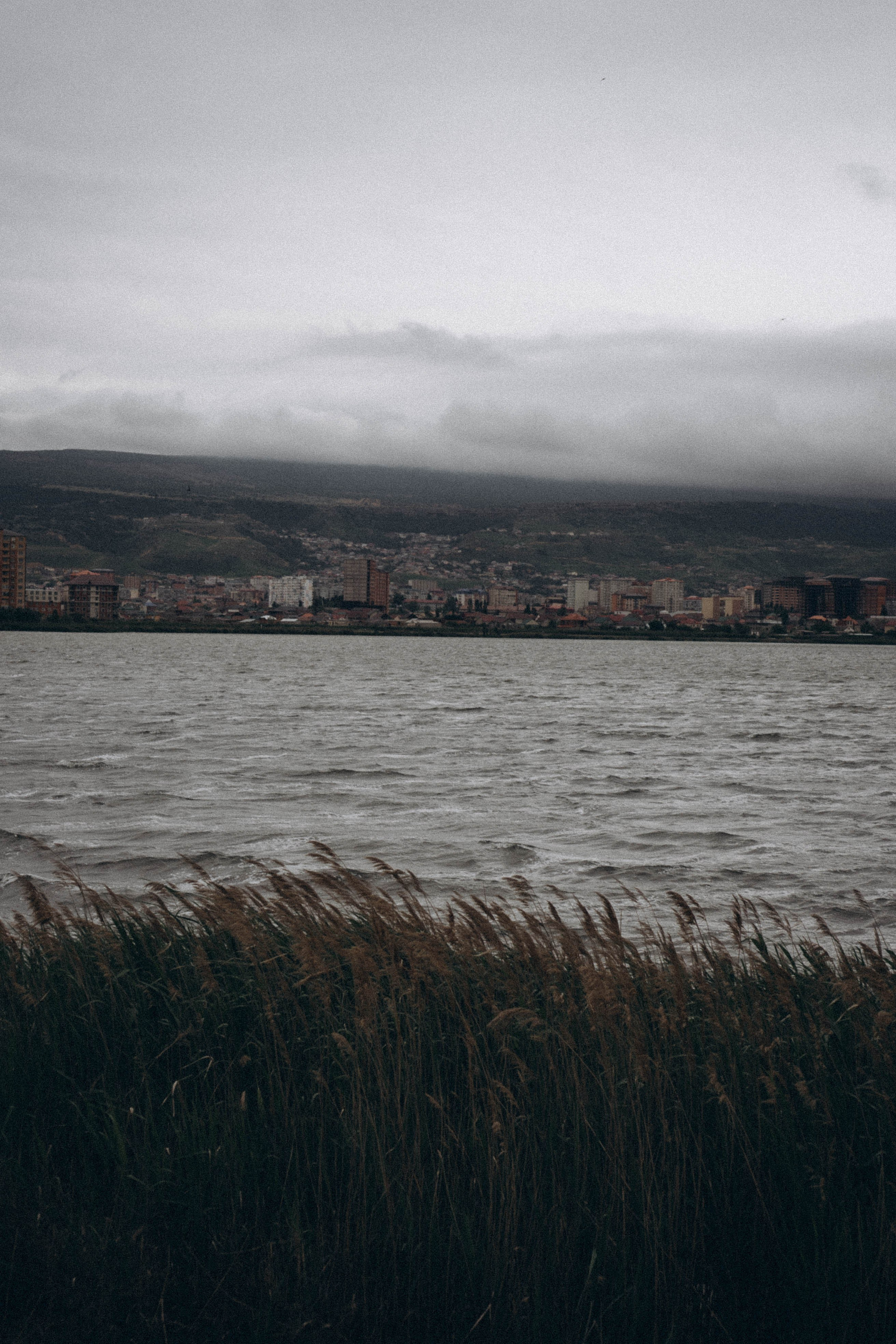 Кавказ. Профессиональный фотограф, Санкт-Петербург — Виктория Богомолова