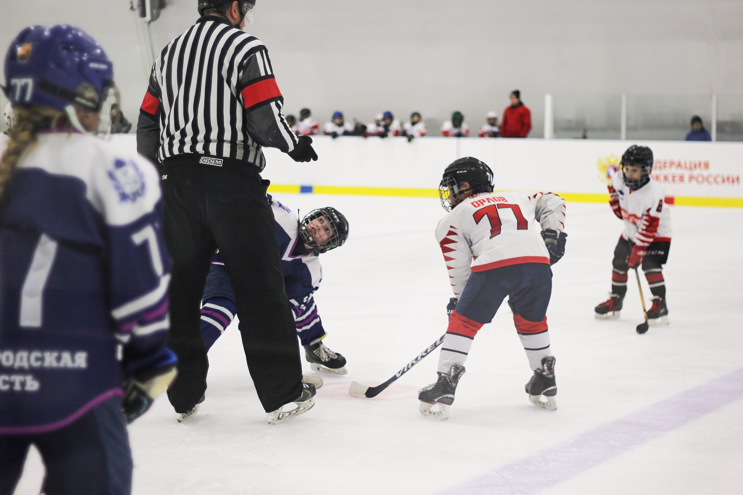 TORPEDO. Фотограф Мария Сивохина