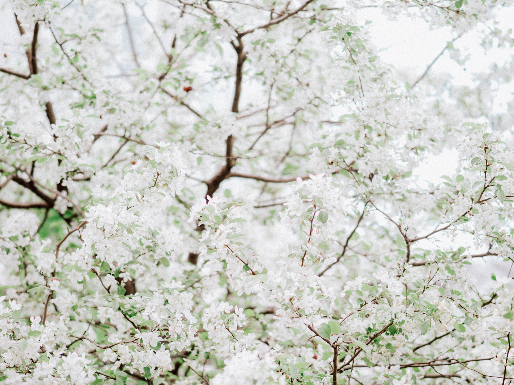 Свадебный фотограф и семейный фотограф в Санкт-Петербурге Вик Патюков. Фотограф и видеограф Виктор Пати