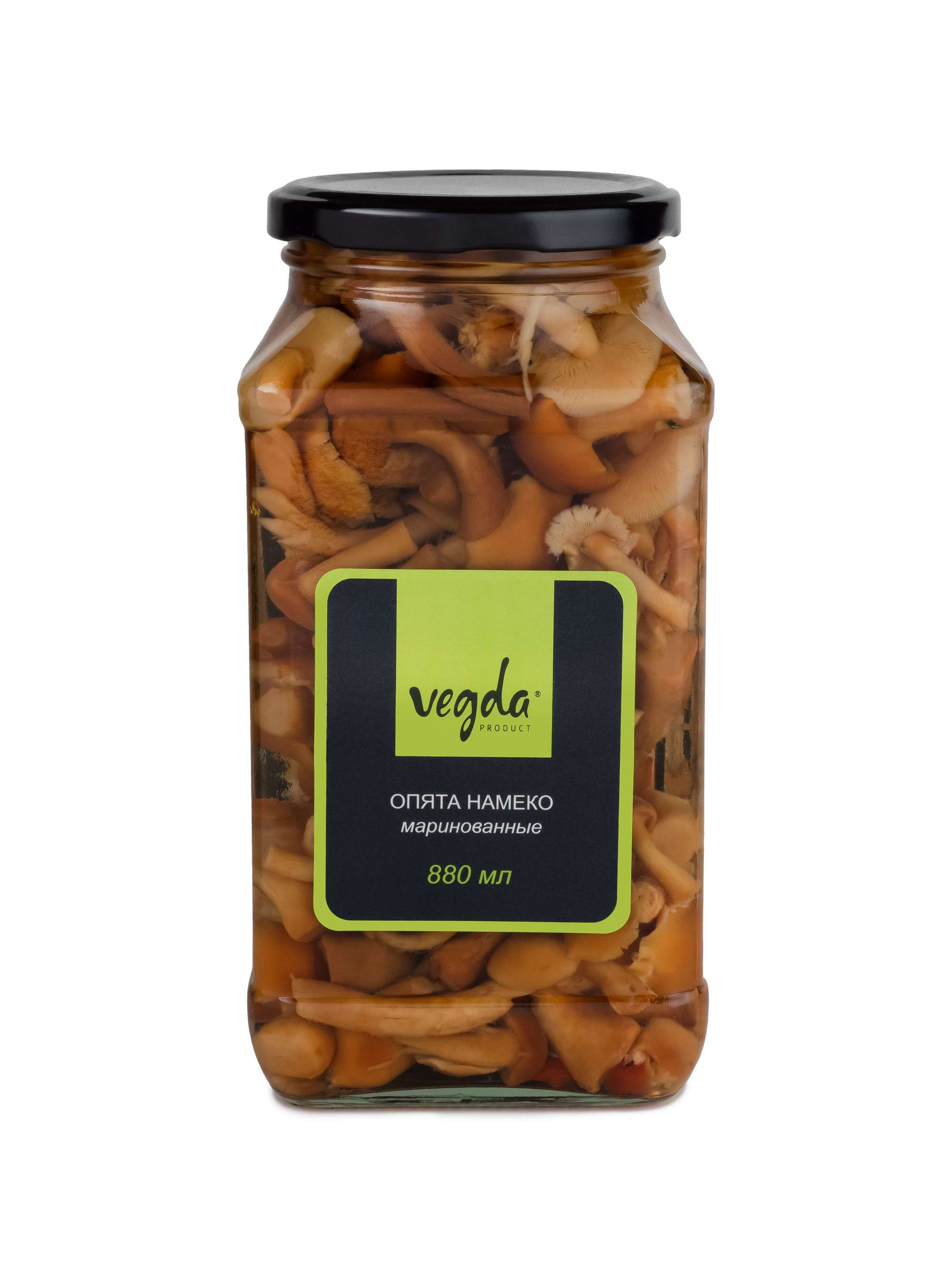 Каталог VEGDA. Фотограф и видеограф Виктор Пати