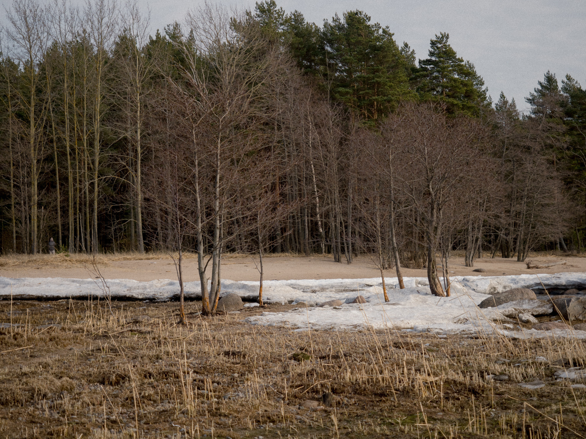 Свадебный фотограф и семейный фотограф в Санкт-Петербурге Вик Патюков. Фотограф и видеограф Виктор Пати
