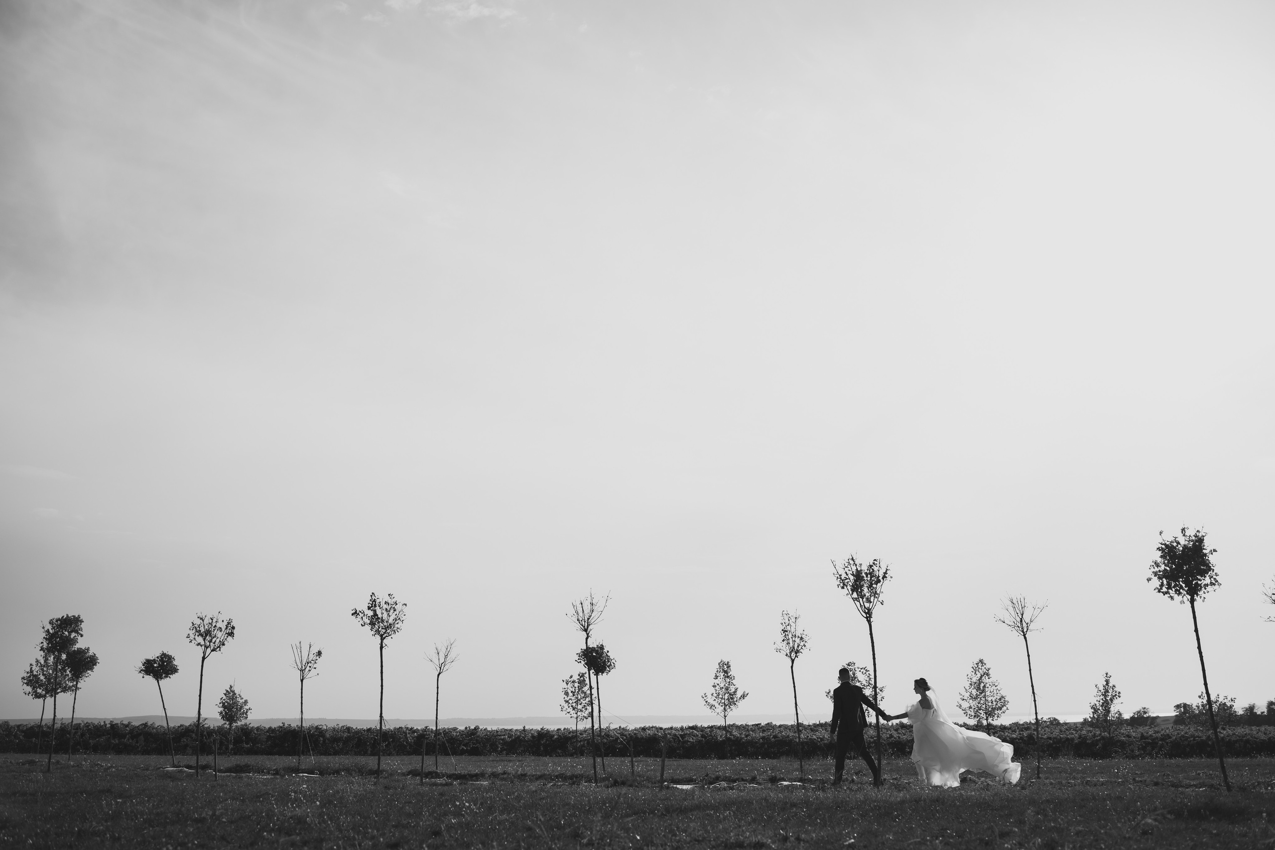 LOVE & WINE. Валерия Солнцева свадебный и семейный фотограф