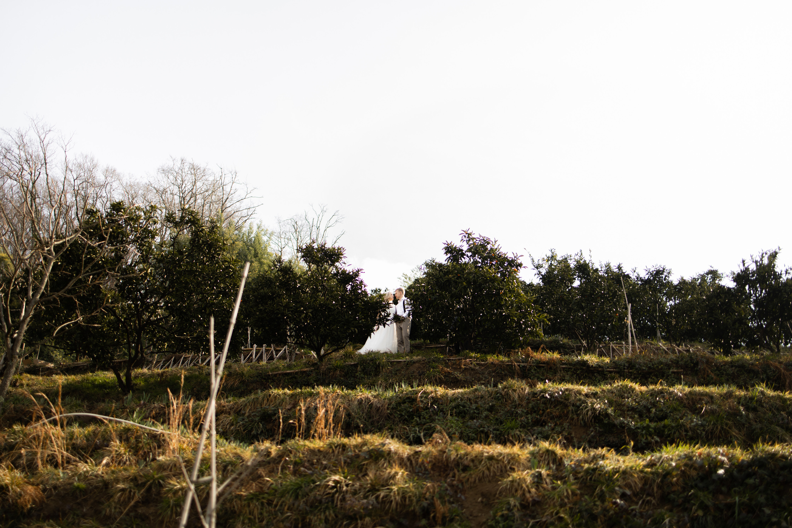 SPRING LOVE. Валерия Солнцева свадебный и семейный фотограф