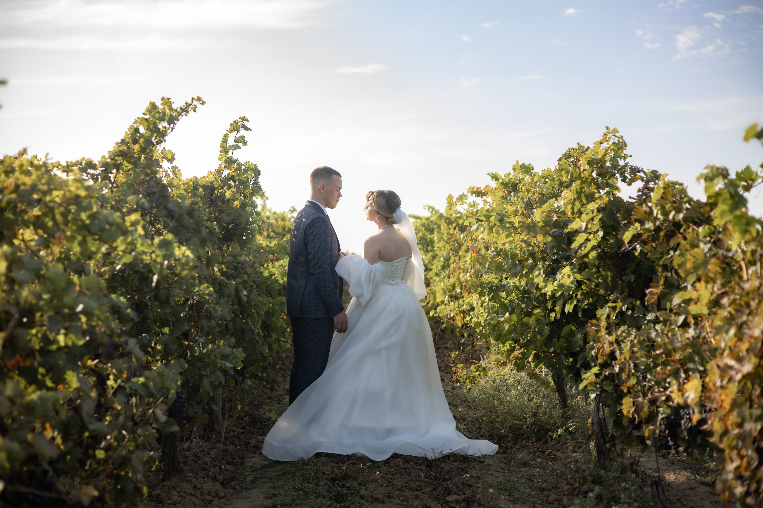 LOVE & WINE. Валерия Солнцева свадебный и семейный фотограф