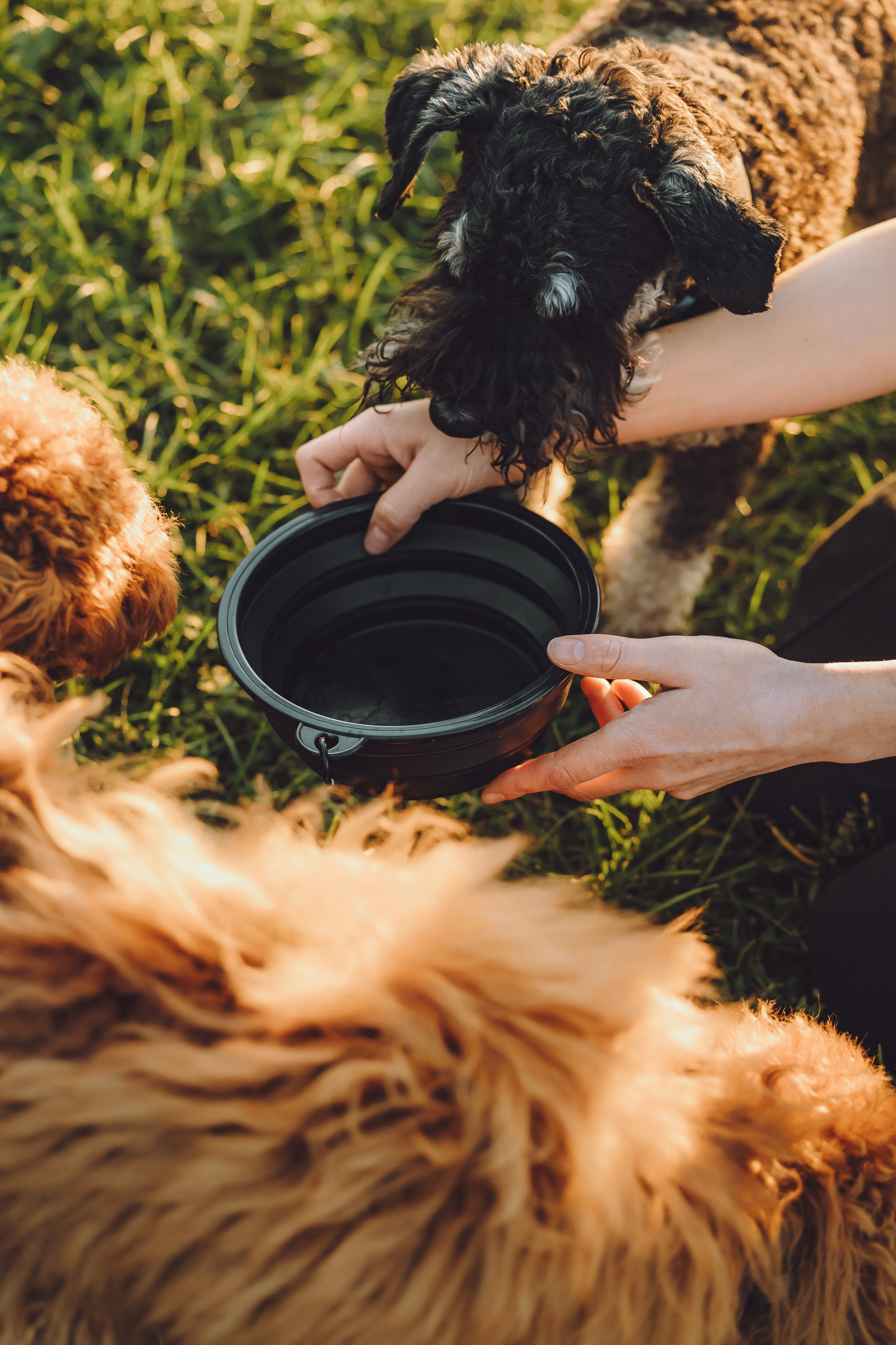 Кристина и все-все