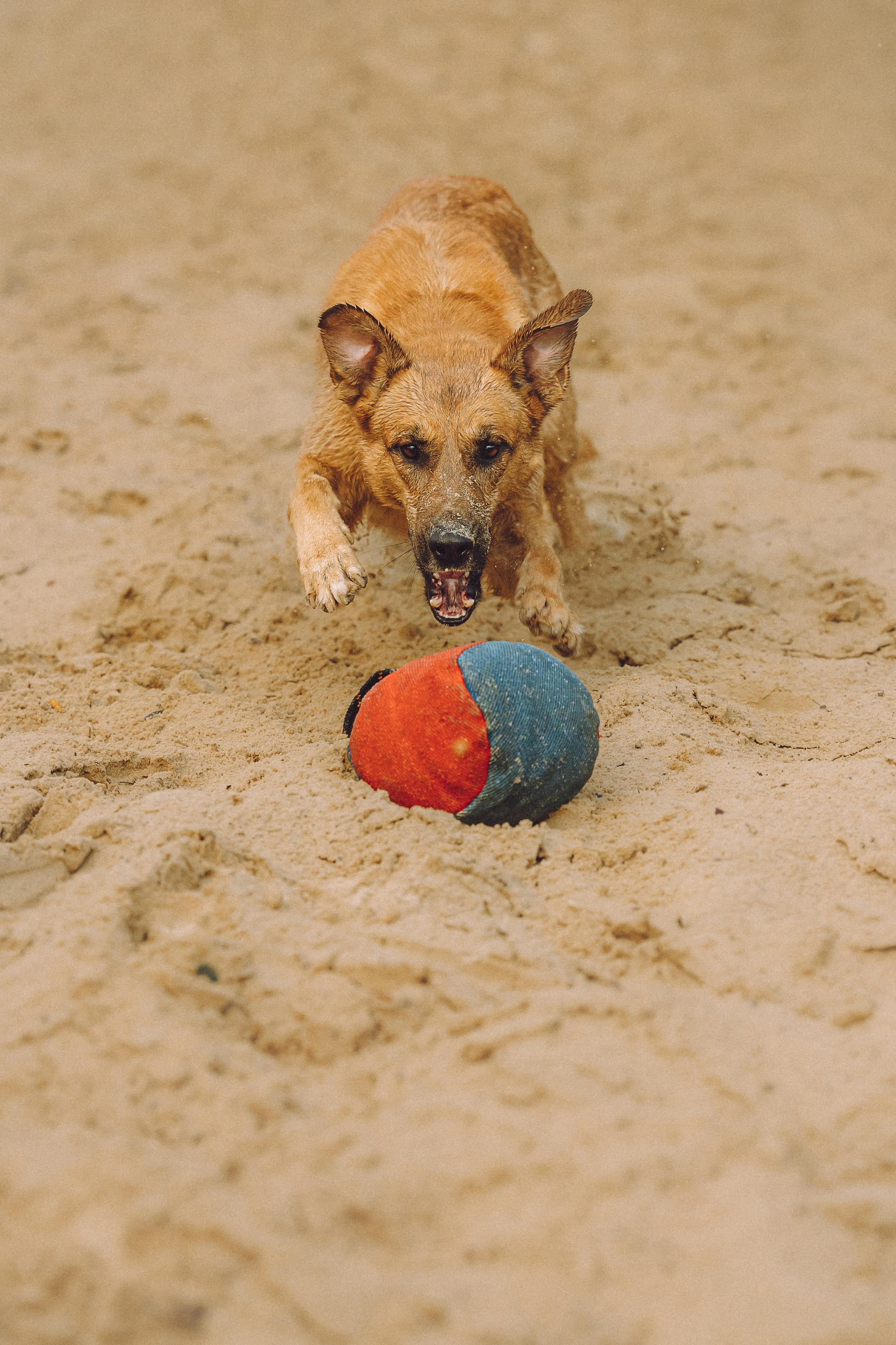 Роби, Тео и их семья