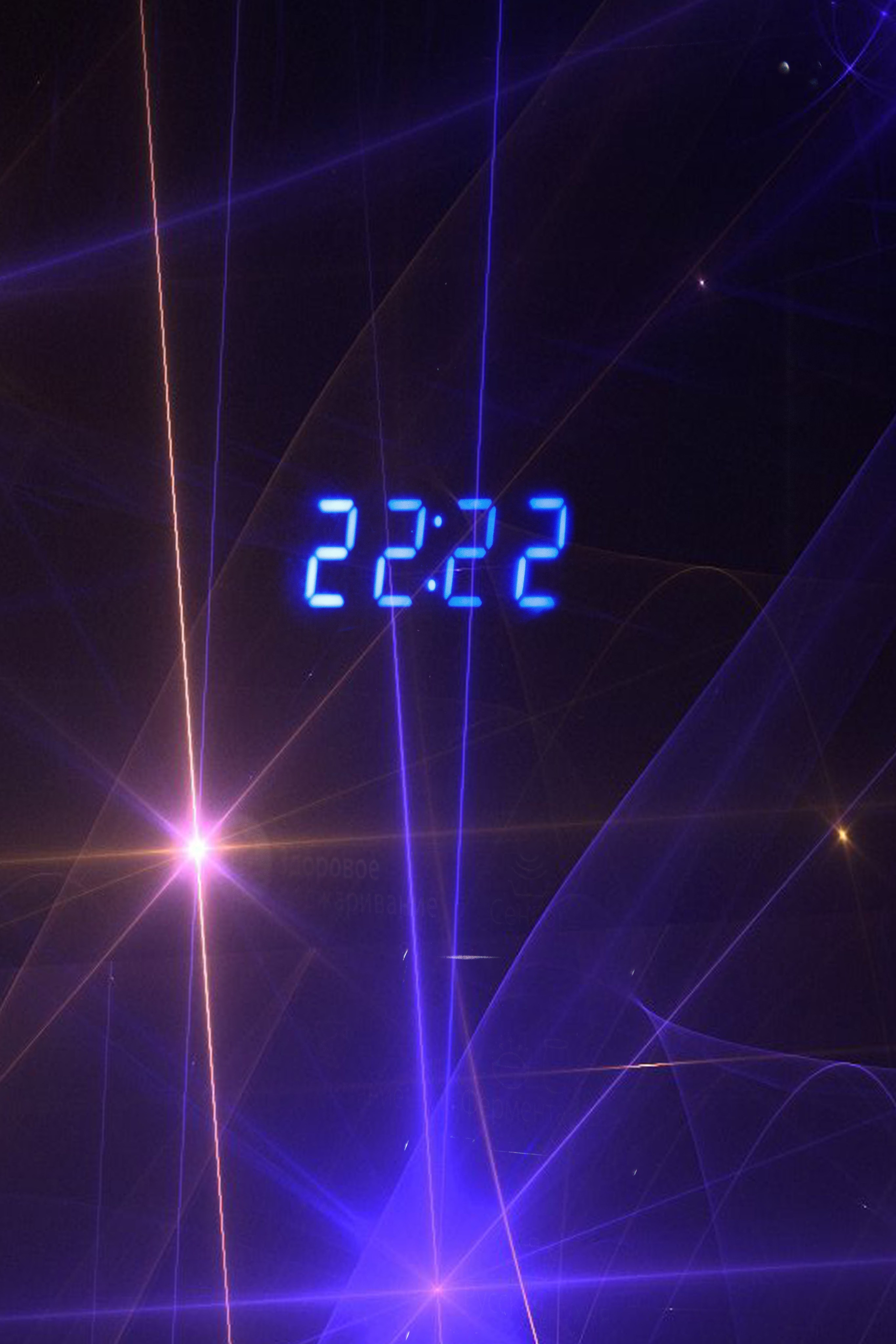 Проект «366»|2024|Фото каждый день. LENA GRACE photographer ||ЛЕНА ГРЭЙС фотограф