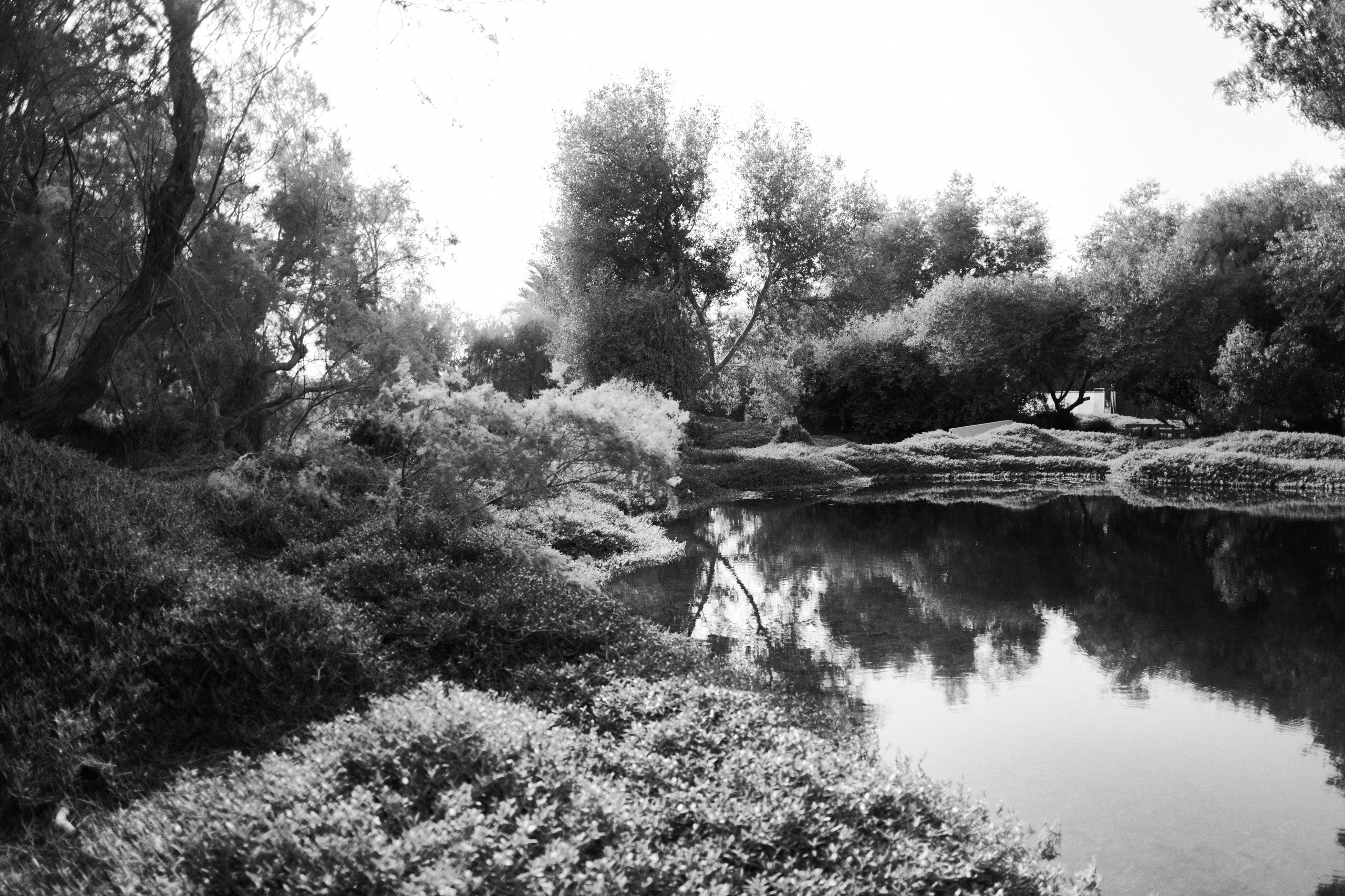 Улица горизонтальная. Jorgis — фотограф в Хургаде / обучение фотографии