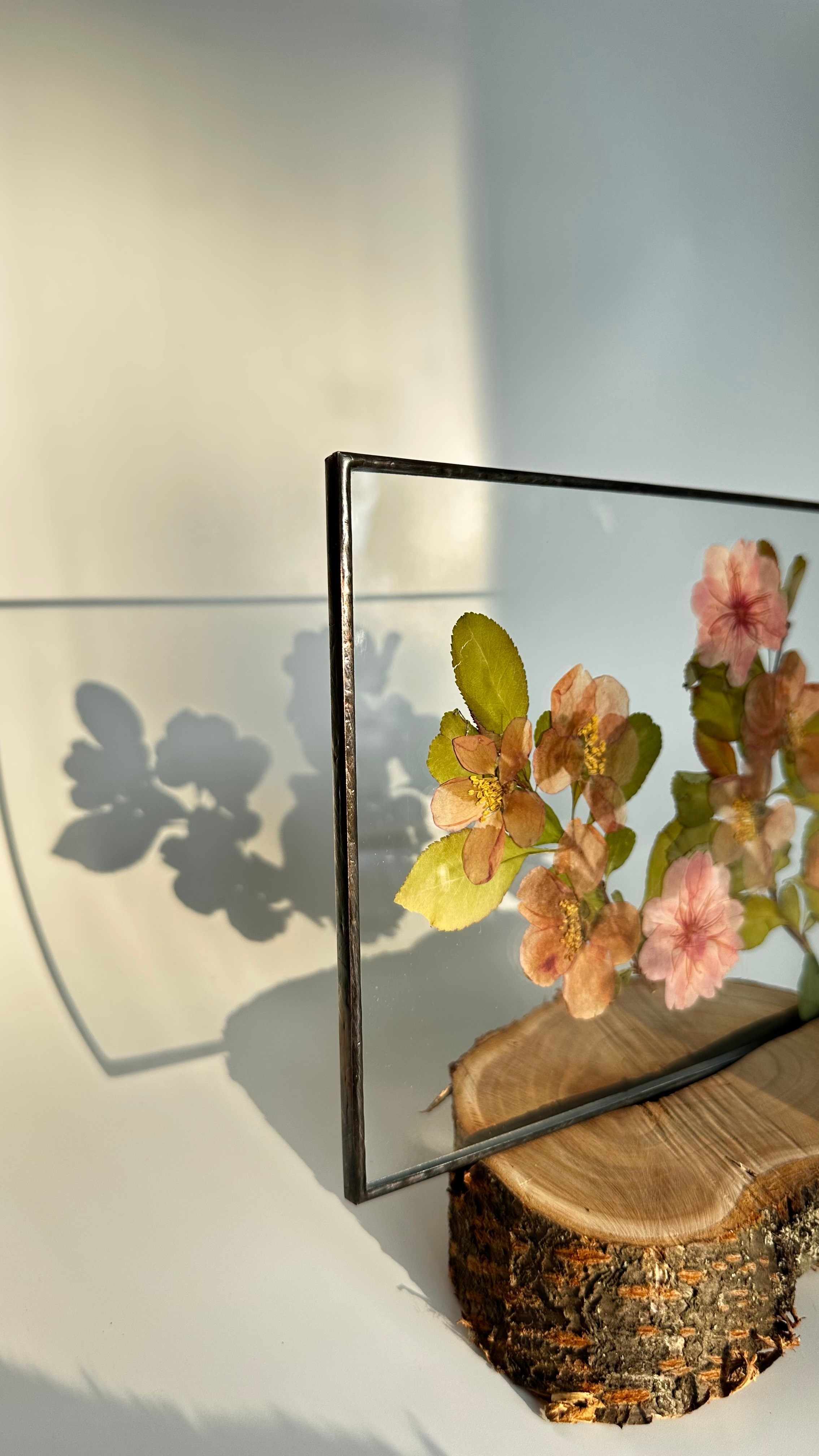 Гербарий в стекле с сухоцветами (витраж в технике тиффани). Гербарий в стекле, интерьерные панно, витражи с сухоцветами в технике тиффани