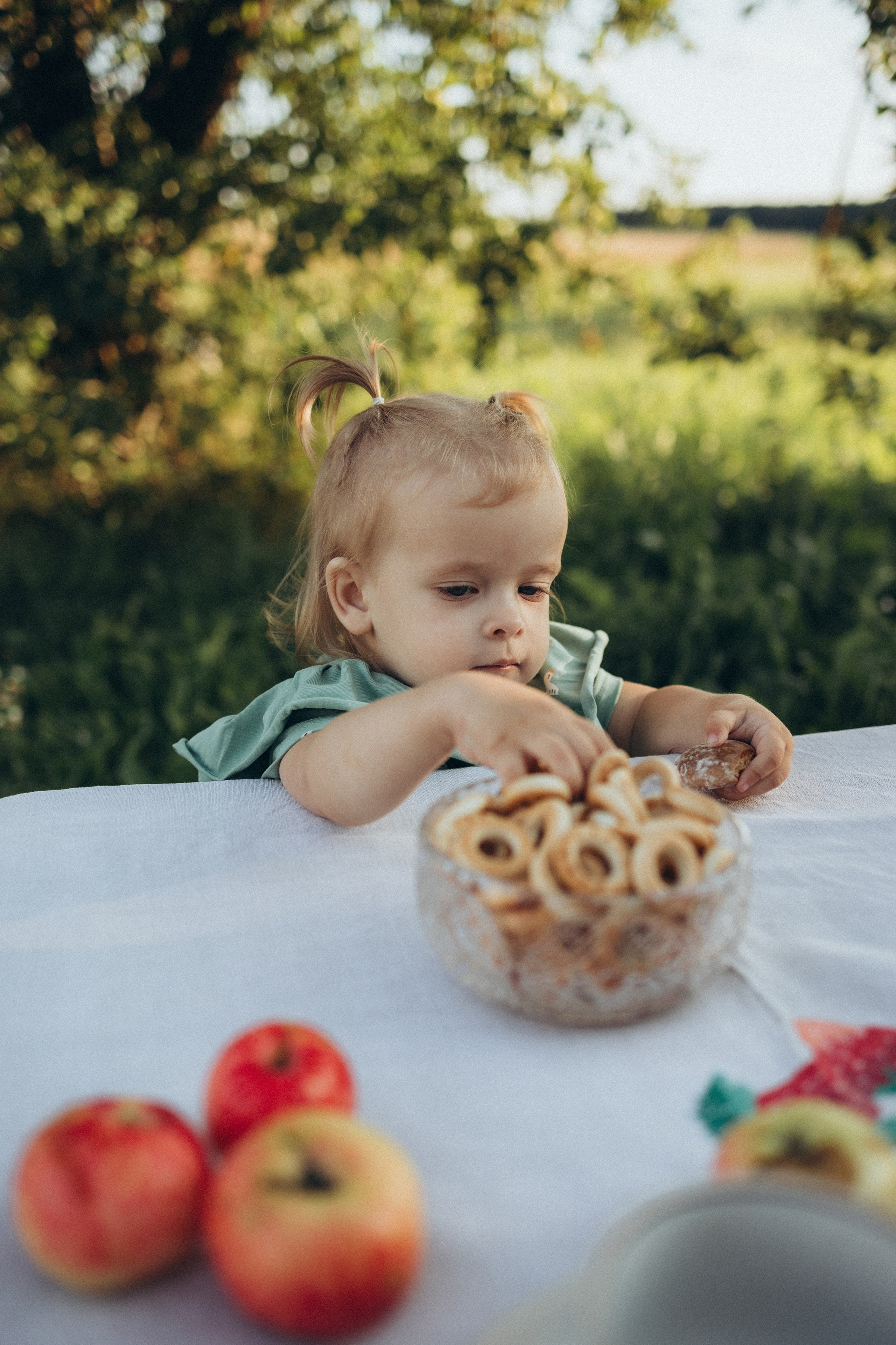 Чаепитие в саду. Фотограф Елена Рябцева
