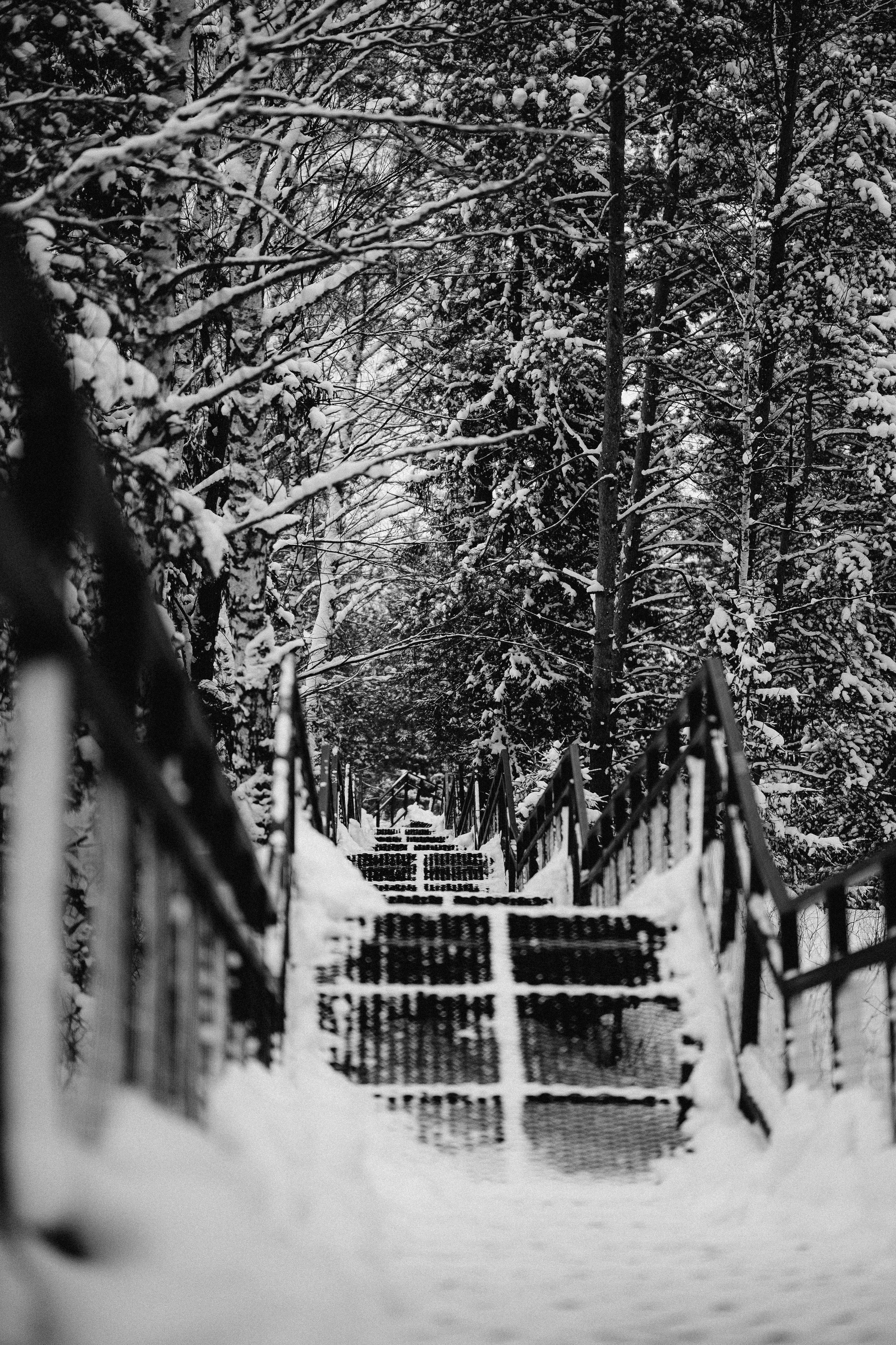 Обо мне. Anastasia N | Фотограф Челябинск