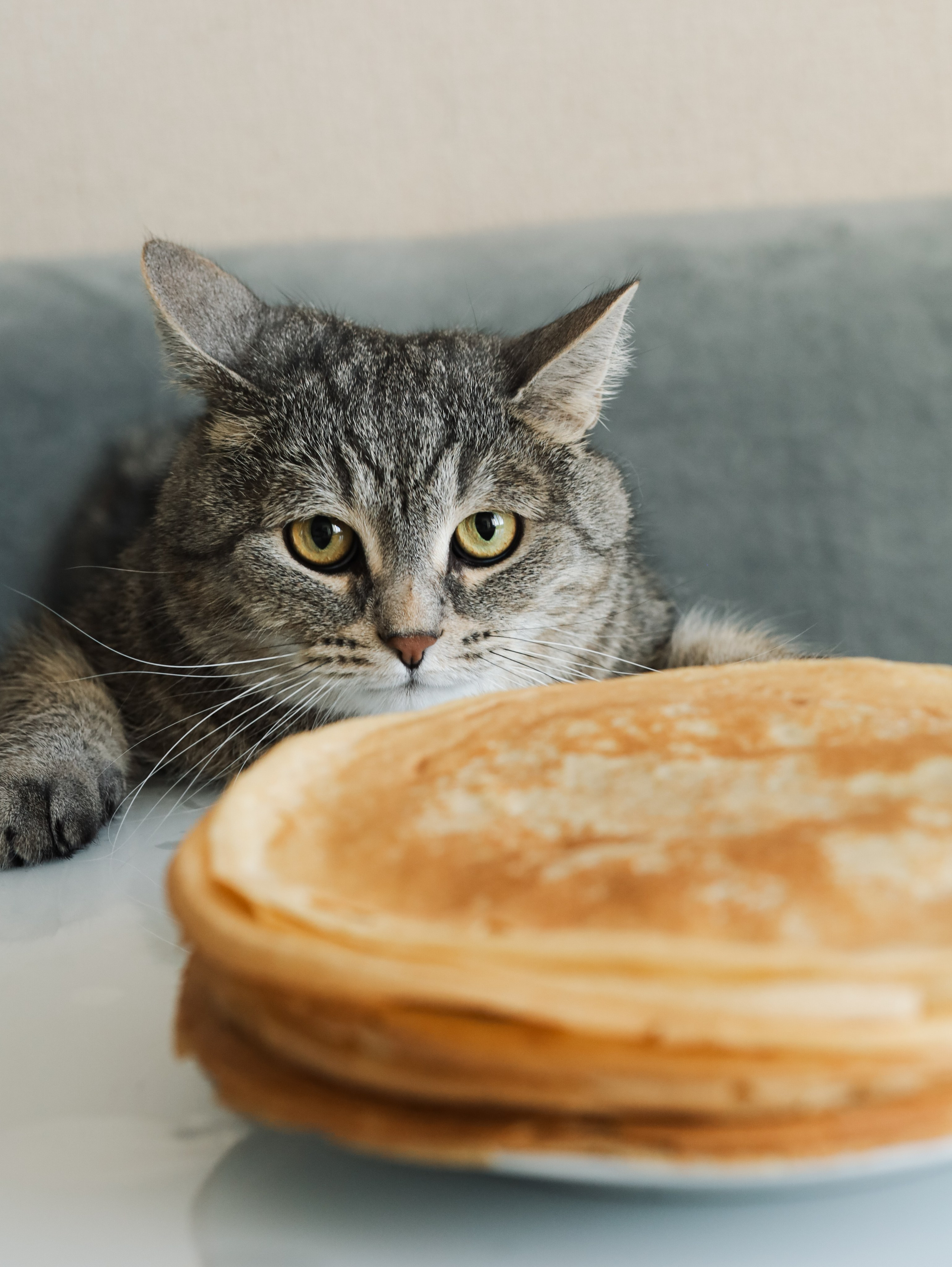 Food. Алёна Стерхова — Предметный и портретный фотограф. Ижевск