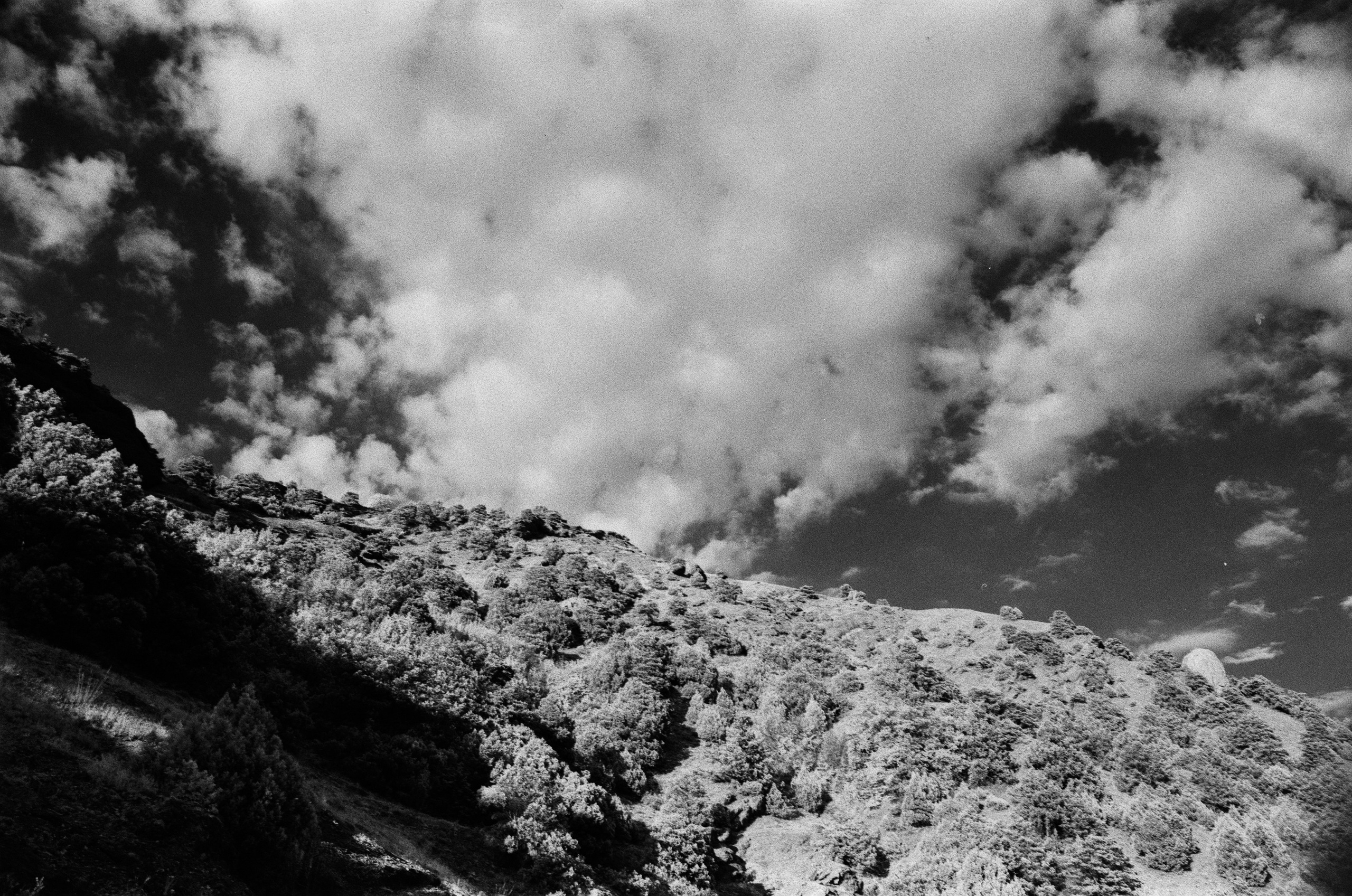 Point of no reply // ukraine, crimea V. EVER EXPOSED