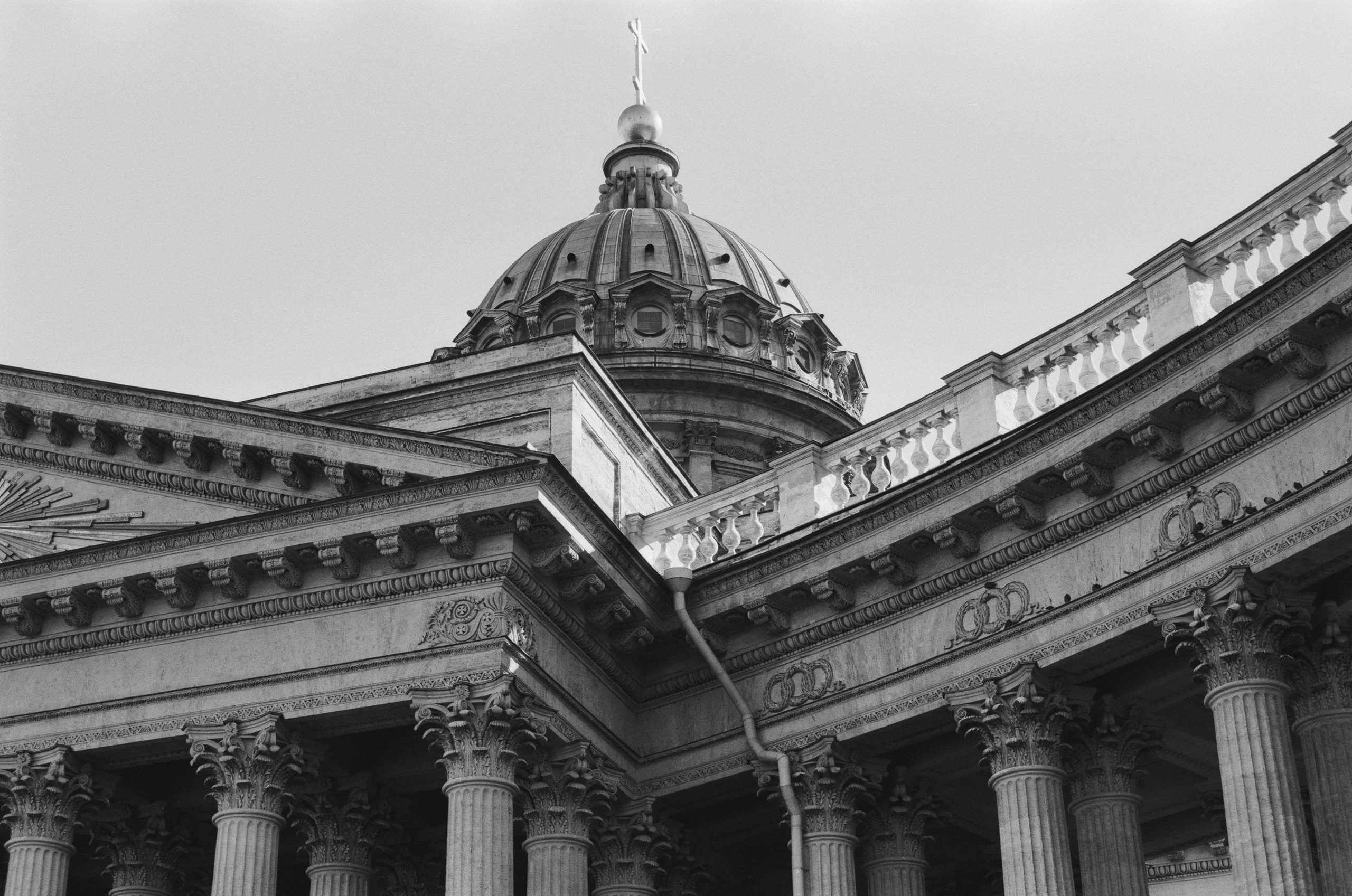 Black dog petersburg // st.-petersburg. EVER EXPOSED